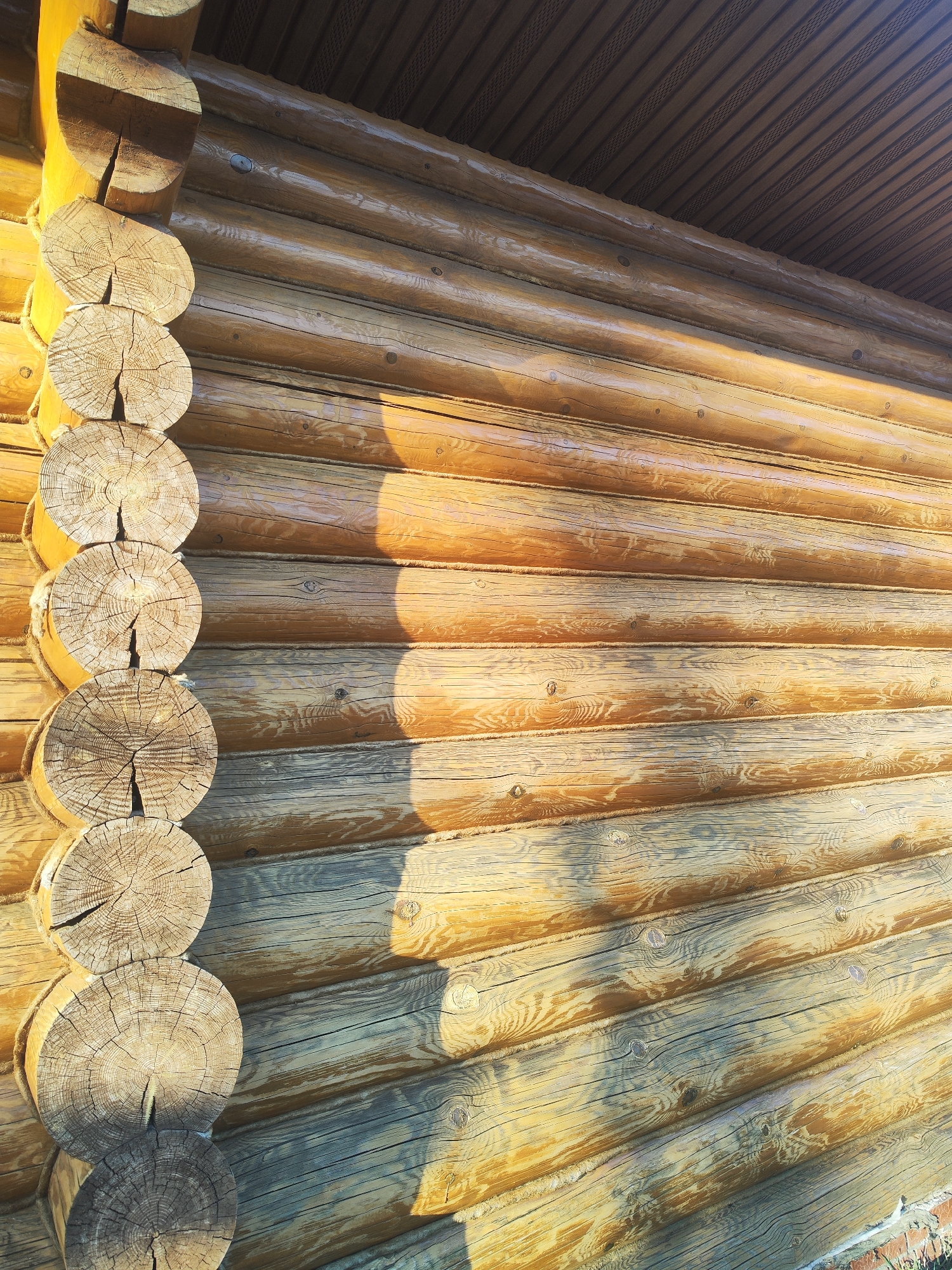 The image shows the exterior wall of a log cabin in Chaikovsky, Russia. The wall is constructed of horizontally stacked, round logs, notched and interlocked at the corner with vertically aligned, rounded logs. The logs are varnished with a golden-brown finish. A shadow falls diagonally across the wall. The underside of a brown corrugated roof is visible above the logs. The logs exhibit visible wood grain and knots. Cracks are present on the exposed ends of the vertically aligned logs.