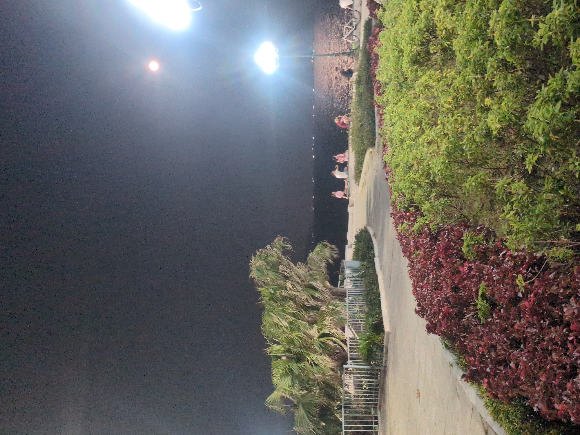 The image shows a nighttime scene in South Quy Nhon Ward, Vietnam. A paved path runs alongside a body of water. A row of bushes and trees separates the path from the water. A lamp illuminates the scene. People are visible near the water’s edge. A palm tree stands to the left of the path. A fence is located near the tree. The sky is dark, with a bright light source.