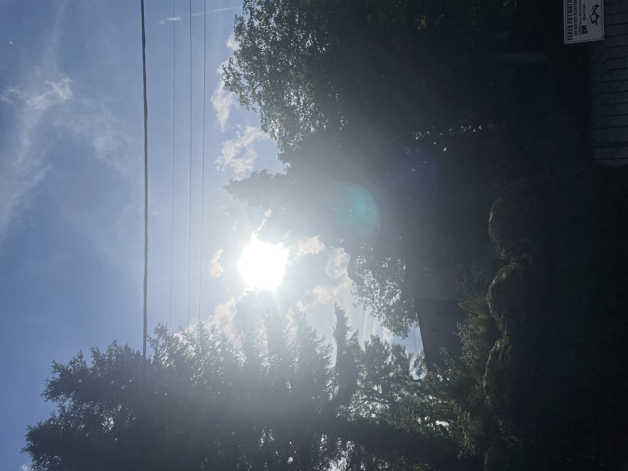 The image shows a bright, sunny day with the sun obscured by clouds and trees. Power lines are visible against the blue sky. Dense foliage fills the bottom and right sides of the frame. A sign is faintly visible in the upper right corner, with some text in a foreign language.