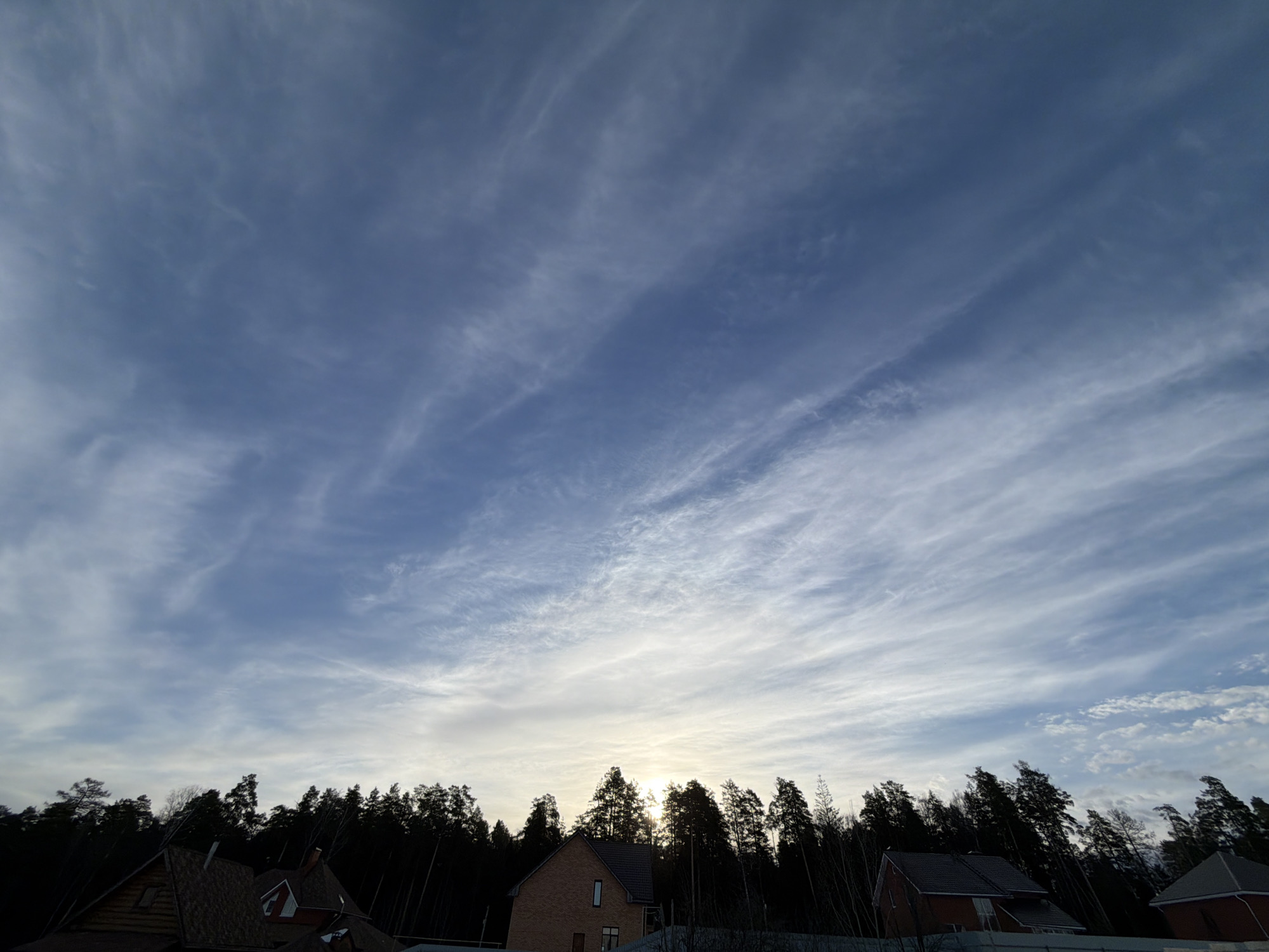 The scene depicts an outdoor panorama captured in Chaikovsky, Russia, at either sunrise or sunset. The upper two-thirds of the frame is dominated by a clear blue sky traversed by numerous wispy, white cirrus clouds, appearing brighter towards the horizon. A diffuse solar disc is visible low on the horizon, slightly right of center, partially obscured by the dark silhouette of a dense coniferous forest. Below the tree line, elements of a residential area are present: on the far left, a portion of a log-style house with a dark shingled roof; centrally, a brick-faced house with a dark gray pitched roof and multiple windows; and on the far right, a partial view of another dark shingled roof. No individuals or overt activities are discernible within the frame.