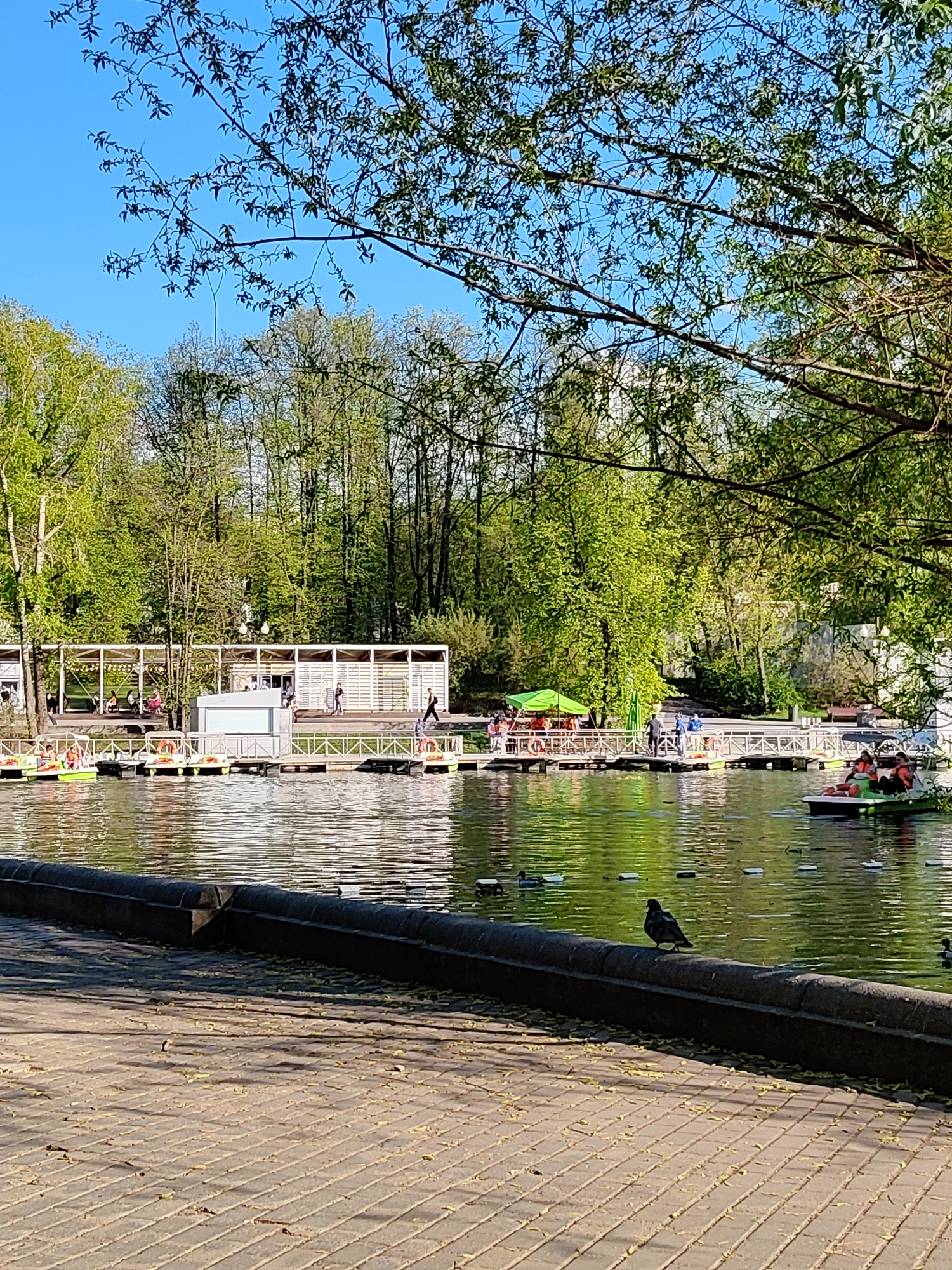 The image depicts a park scene in Moscow, Russia, featuring a body of water populated with pedal boats and several people enjoying a sunny day. The water reflects the surrounding greenery and clear blue sky.
A concrete walkway lines the water's edge in the foreground, with a pigeon perched on the ledge. The walkway leads to a boat rental area with docks, pedal boats, and a covered waiting area. Trees surround the water and the area is bathed in sunlight.