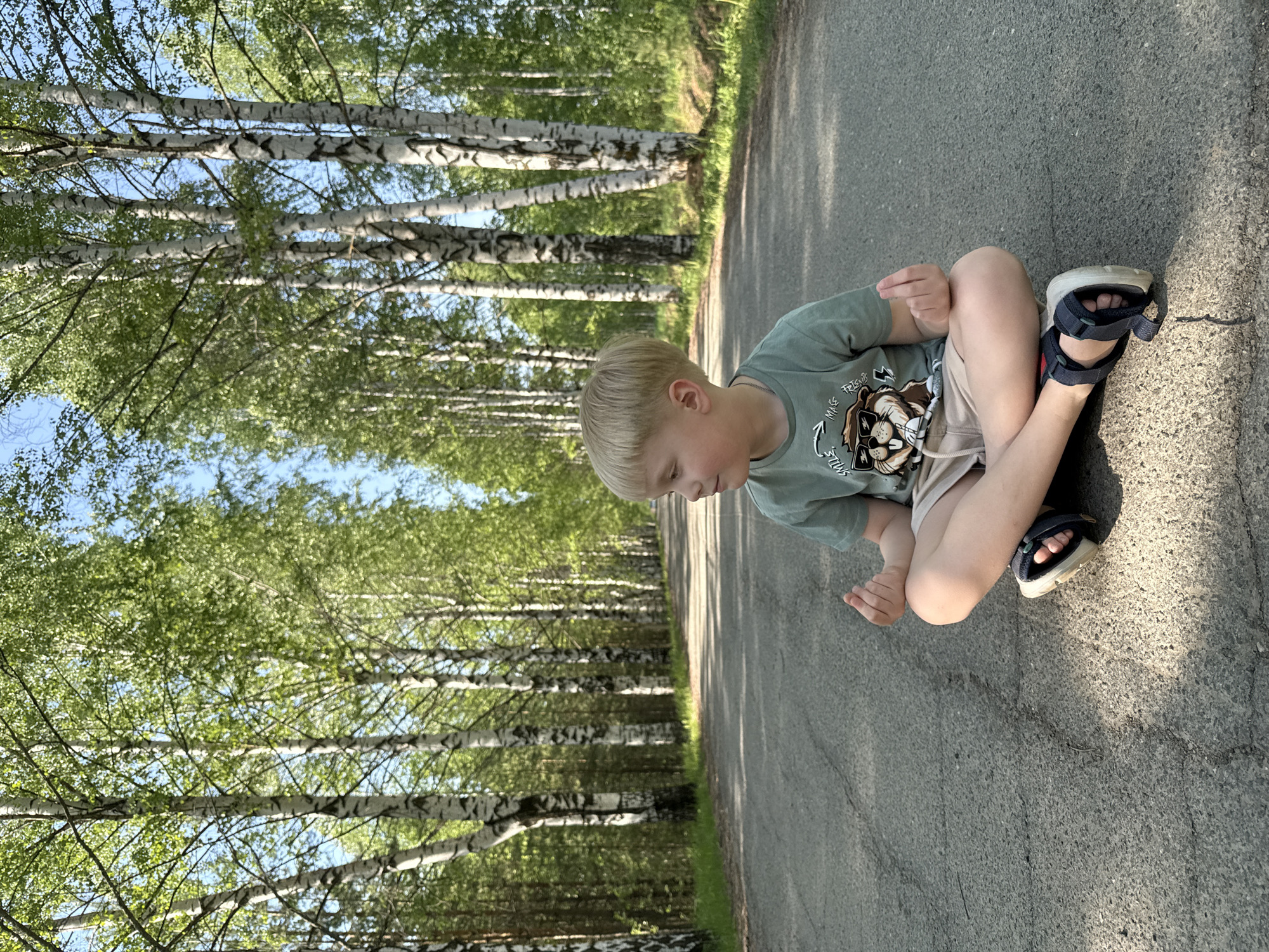 A young boy with blonde hair is sitting cross-legged on an asphalt road in what appears to be a rural or park setting. He is wearing a green t-shirt with a graphic design, khaki shorts, and navy blue sandals with white soles. The boy is looking down at his hands. To the left of the road, a dense row of birch trees with distinctive white bark and green foliage lines the roadway. The sun casts shadows on the road surface.
While the exact location is difficult to determine, the surrounding area looks like the roads around the village of Банное in Russia.