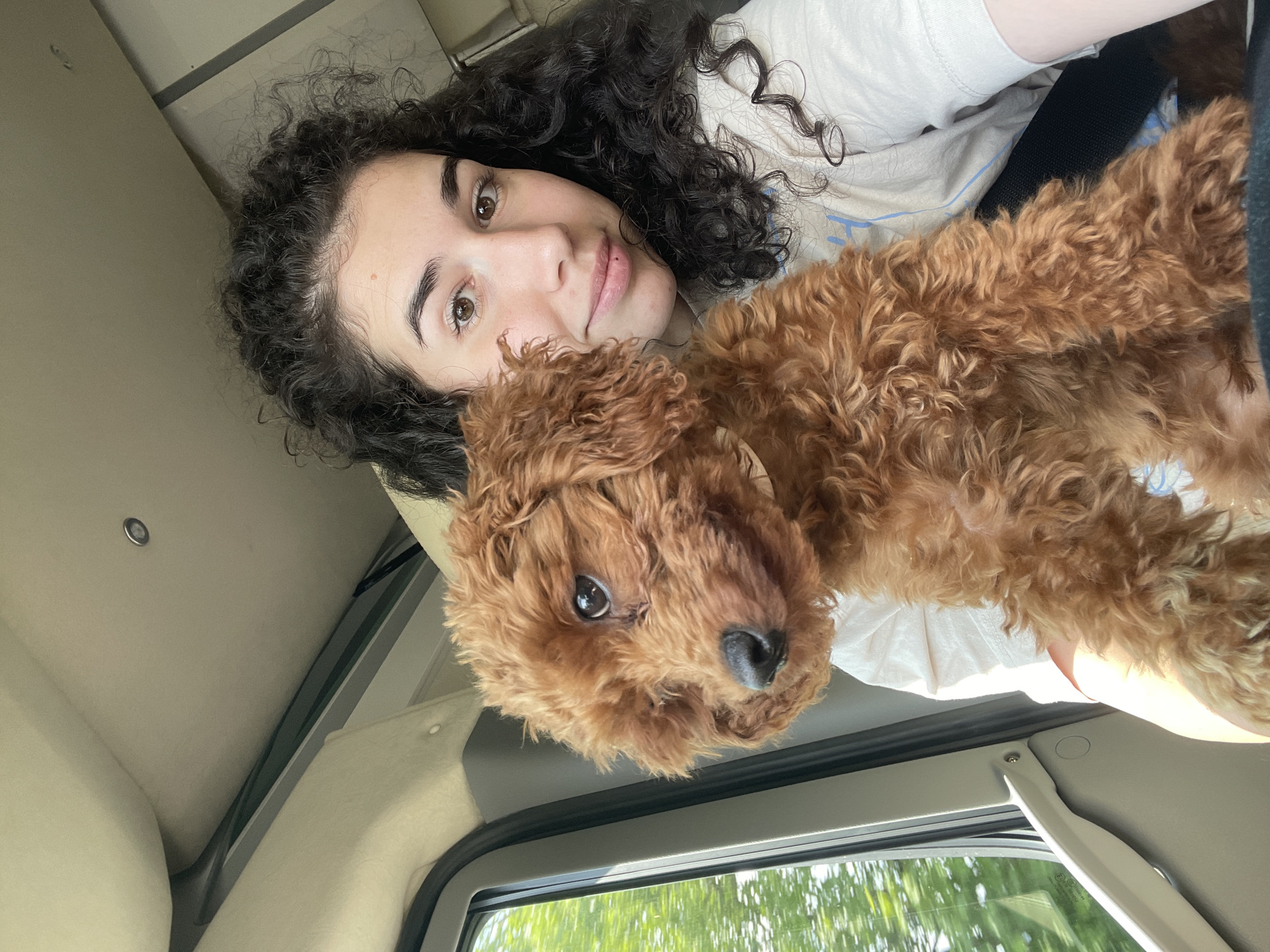 Inside a vehicle in Chelopech, Bulgaria, a young woman with dark, curly hair and brown eyes holds a small, reddish-brown, curly-haired poodle-type dog. The woman, wearing a light-colored t-shirt, looks directly at the viewer with a subtle smile; she has a small mole on her forehead and another above her upper lip. A black seatbelt strap is visible across her chest. The dog, with dark eyes and a black nose, is positioned facing generally forward, but its gaze is slightly directed towards the vehicle's open or partially open left-side window. Blurred green foliage is visible through the window, indicating an outdoor setting, potentially in motion. The vehicle's interior features a light beige headliner with an overhead silver-rimmed light fixture, and dark gray window frames with a lighter beige trim.