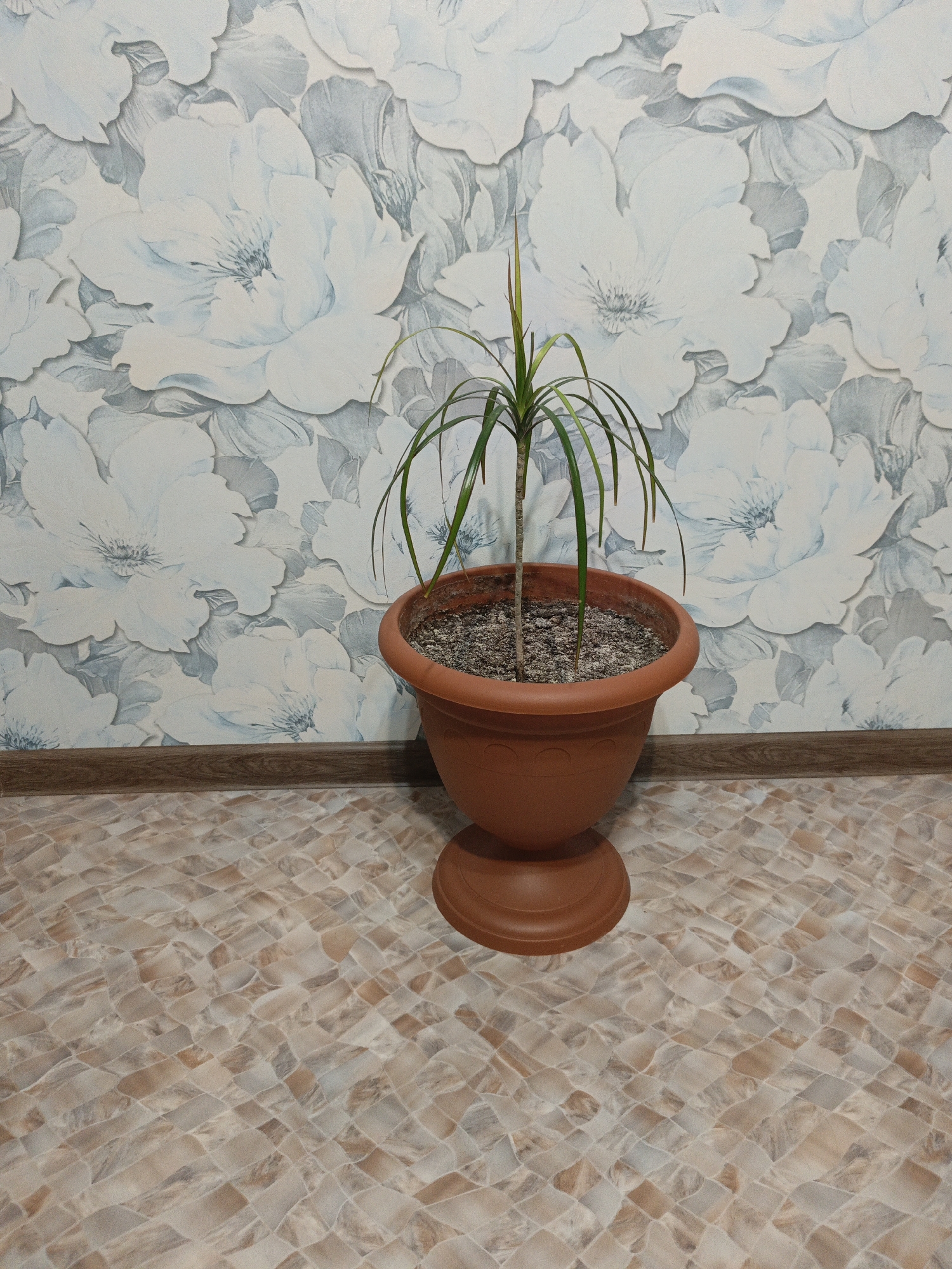A potted plant with thin, long green leaves stands in the center of the frame. The plant is in a round, brown plastic pot with a pedestal base, placed on a floor covered with square tiles in a beige and brown mosaic pattern. Behind the plant, a wall is covered with wallpaper featuring a large floral pattern in white and pale blue. The scene is indoors, likely in a residential setting. No people are present. The location is identified as Uren, Russia.