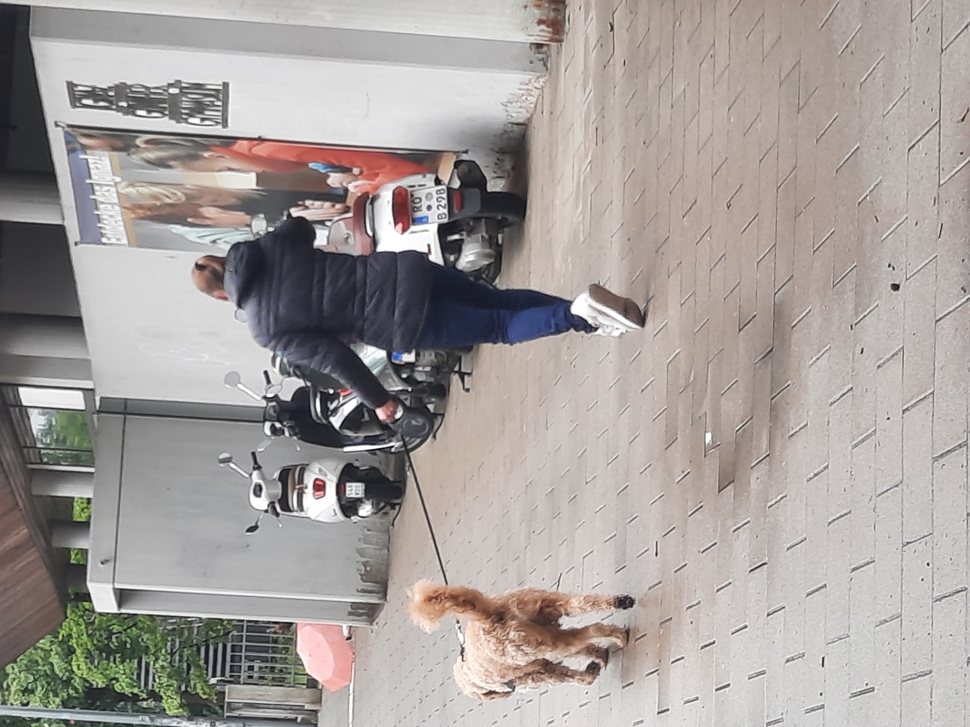 The image shows a person walking a fluffy light brown poodle mix dog on a leash. The person is wearing a dark blue puffer jacket and dark blue pants with white sneakers. They are walking on a paved area with a diamond pattern. In the background, there are two scooters parked near a wall with a poster. The poster appears to depict people and has some text on it. A partial view of a building with a wooden roof is visible on the left side, along with some green foliage. The lighting suggests it might be daytime, and the weather appears to be overcast. The scene is set in an urban or semi-urban environment. The license plate of the white scooter is partially visible and reads "RO B 298". The poster on the wall has some German text, possibly "Entdecke das Junge" and another line that is not legible.