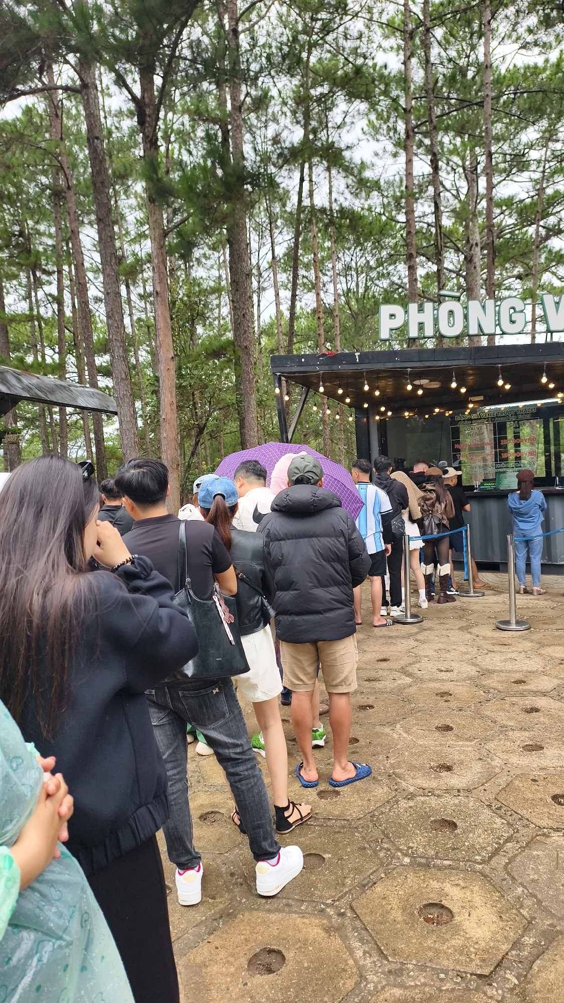 The image depicts a queue of people outside a building with a sign that reads "PHONG VI." The building appears to be a concession stand or ticket booth, with lights strung across its front. Several individuals are standing in line, some holding umbrellas, suggesting it may be raining or overcast. A person in a blue uniform stands at a counter inside the building. The ground is paved with hexagonal concrete slabs. The background features tall pine trees, characteristic of the natural environment surrounding Da Lat, Vietnam, a city known for its pine forests and cool climate. The overall scene suggests a public gathering or tourist attraction.
