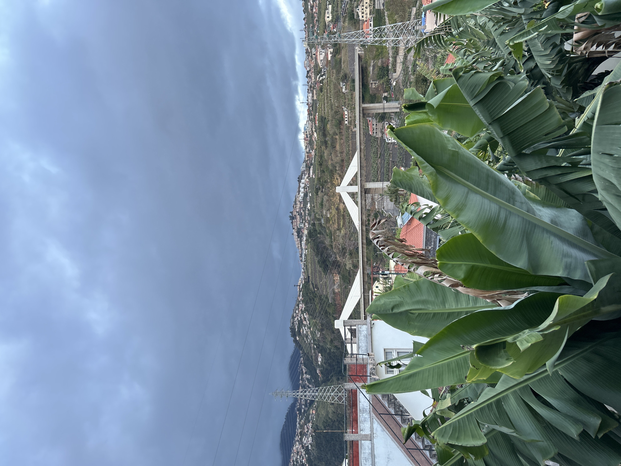 The image captures a hillside vista in Câmara de Lobos, Portugal, under a heavy, overcast sky. Terraced slopes are populated with tightly packed houses, bisected by a prominent white cable-stayed bridge. Electrical pylons are visible against the backdrop of the cloudy sky. The foreground is dominated by large, green banana leaves. A partial view of a rooftop and building structure is visible, suggesting the photograph was taken from an elevated position.