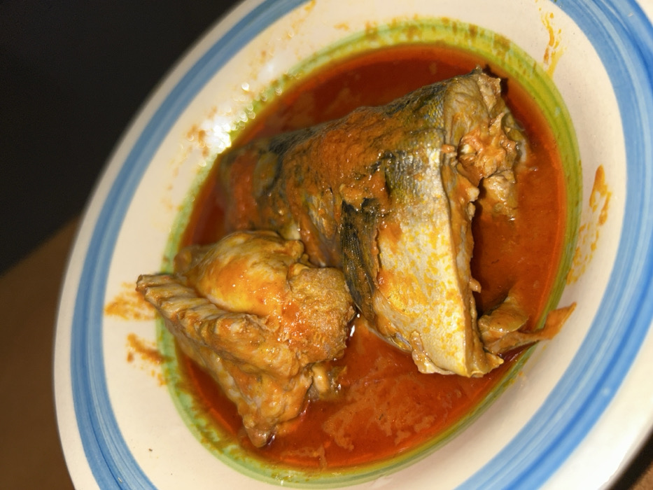 Located in the city of Egbe, Nigeria, the image presents a close-up, elevated view of a prepared meal. A white ceramic bowl, featuring a rim with alternating blue and green bands, contains several segments of cooked fish immersed in a thick, reddish-orange sauce. The fish segments display cooked, light-colored flesh and portions of dark, silvery skin. The sauce thoroughly coats the fish and fills the bottom of the bowl. The immediate background is dark and indistinct.