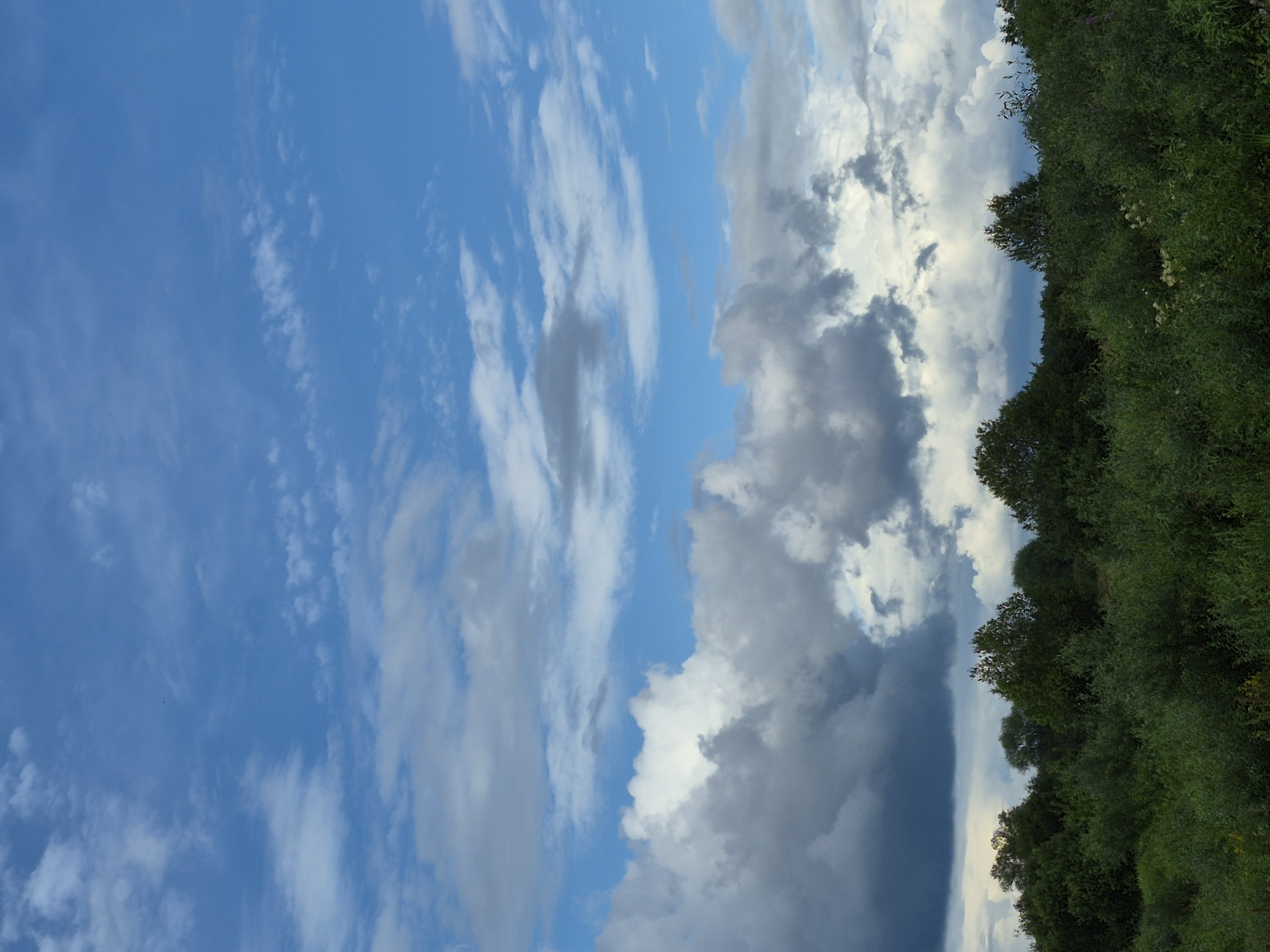 This is a landscape photograph taken in Sooblase, Estonia. The image captures a vast expanse of the sky and a dense forest. The sky is a brilliant blue, dotted with numerous white and grey clouds. Some of the clouds are wispy and scattered, while others are more voluminous and dramatic, with darker undersides suggesting potential for rain.
Below the sky, a thick line of lush green trees forms the horizon. The foliage is varied, with different shades of green indicating a mix of tree types and densities. The forest appears untamed and wild, with no signs of human structures or intervention. The overall impression is one of a natural, serene environment under a dynamic sky. There are no people or animals visible in the image, nor any man-made objects.