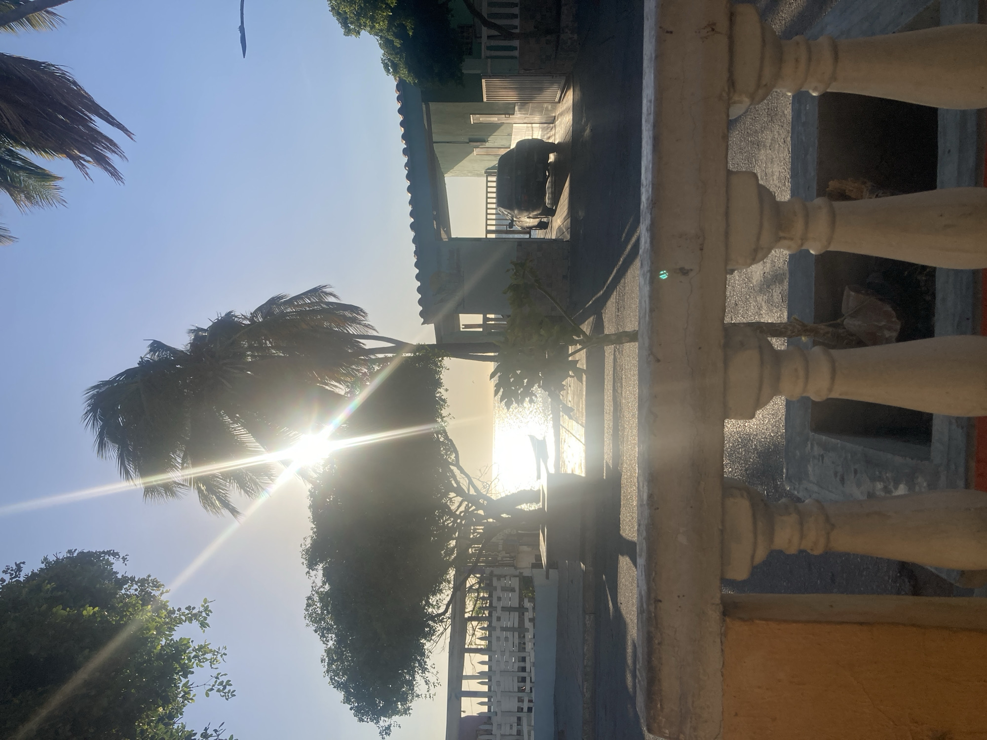 The image, taken in Juan Griego, Venezuela, depicts a scene at sunset with a bright sunburst filtering through palm trees on the left side of the frame. The view is partially obscured by a white, ornate railing in the foreground on the right side. Across the railing and past the palm trees, there is a glimpse of the ocean reflecting the bright sunlight. Behind the palm trees, a street with buildings and a parked car is visible. The angle of the shot suggests the photo was taken from an elevated position.