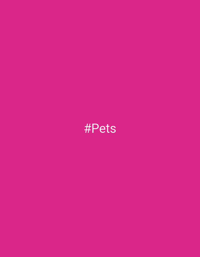 The image is a solid, vibrant pink background with the white text "#Pets" centered horizontally and vertically. There is no discernible city location or environmental context in the image.