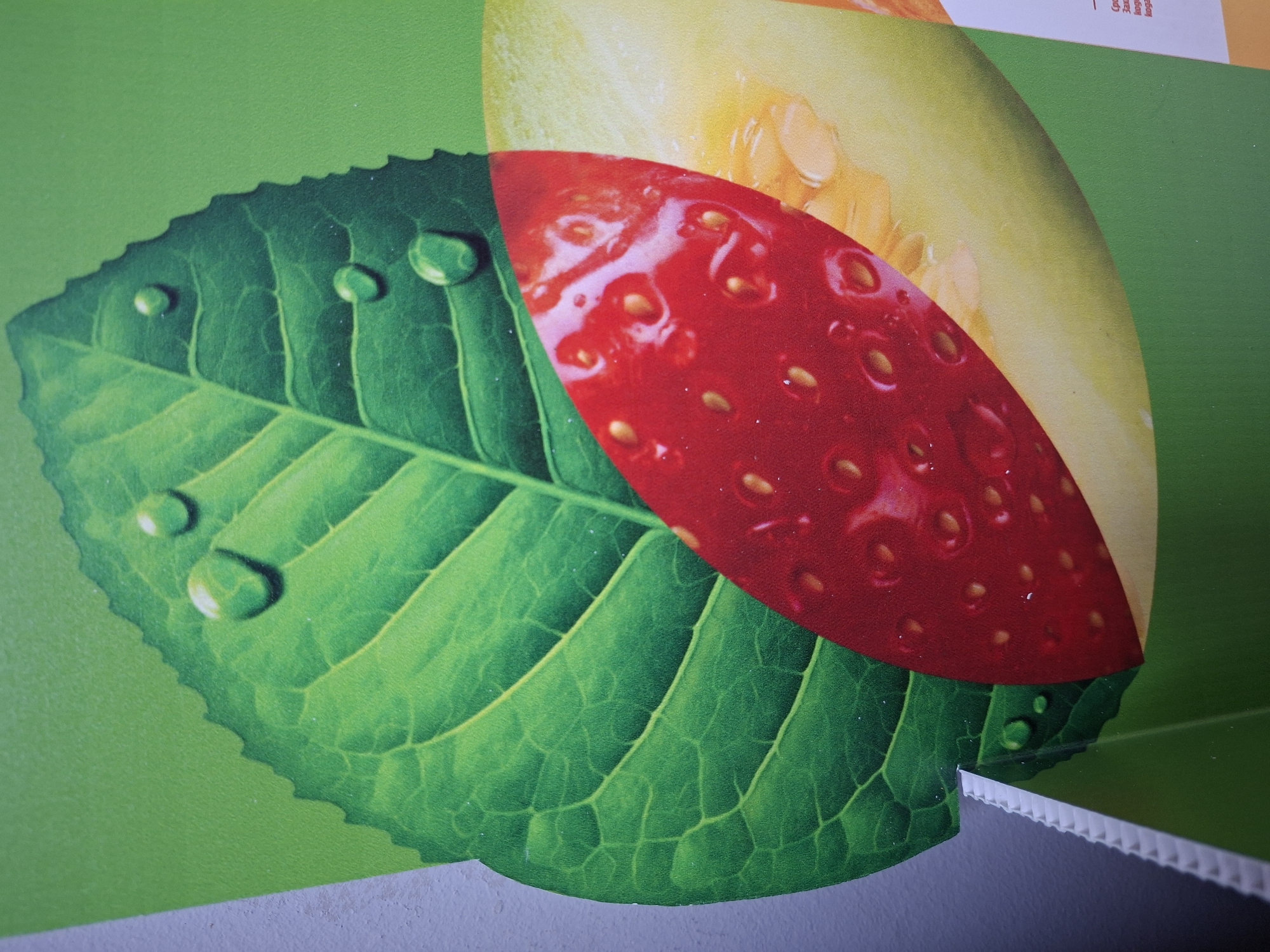 The image shows a close-up of a promotional graphic, possibly a poster or sign, with a light green background. The graphic features a large, green leaf with water droplets, partially obscured by a superimposed image of a red strawberry and a yellow melon slice. The materials appear to be printed on a board. The location is Plovdiv, Bulgaria. The graphic is likely an advertisement for juice.