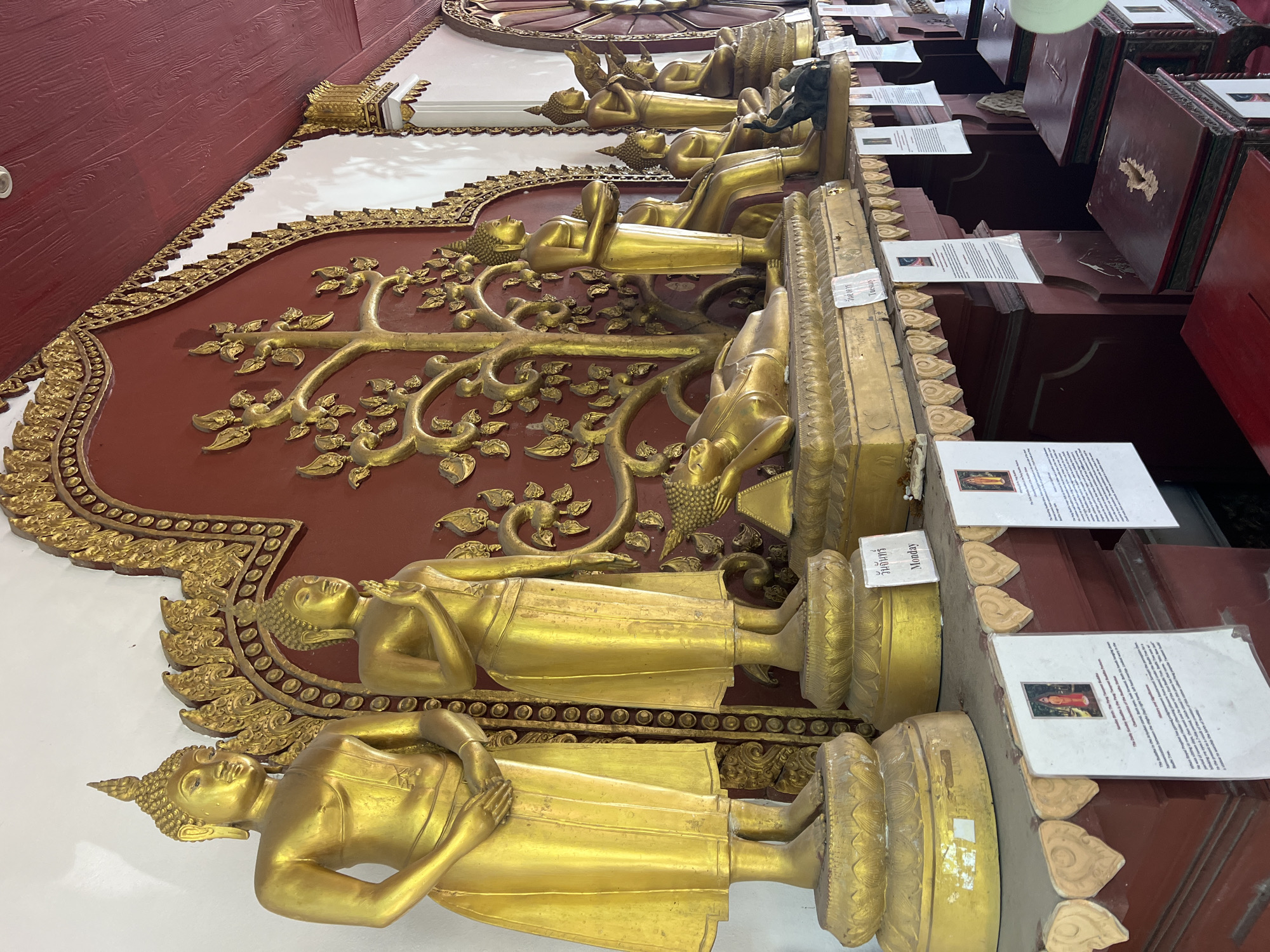 The image depicts a row of golden Buddha statues displayed on a tiered wooden platform within a temple setting in Baan Hua Thanon, Thailand. The statues vary in posture, with some standing, some sitting, and one lying down. They are adorned with traditional Buddhist attire and ornamentation. The background features a deep red wall decorated with intricate gold carvings, including a stylized tree. White informational signs with images of Buddha are placed in front of some of the statues. The lighting suggests an indoor environment, possibly a hall or a shrine. In the foreground, red wooden offering boxes are visible.