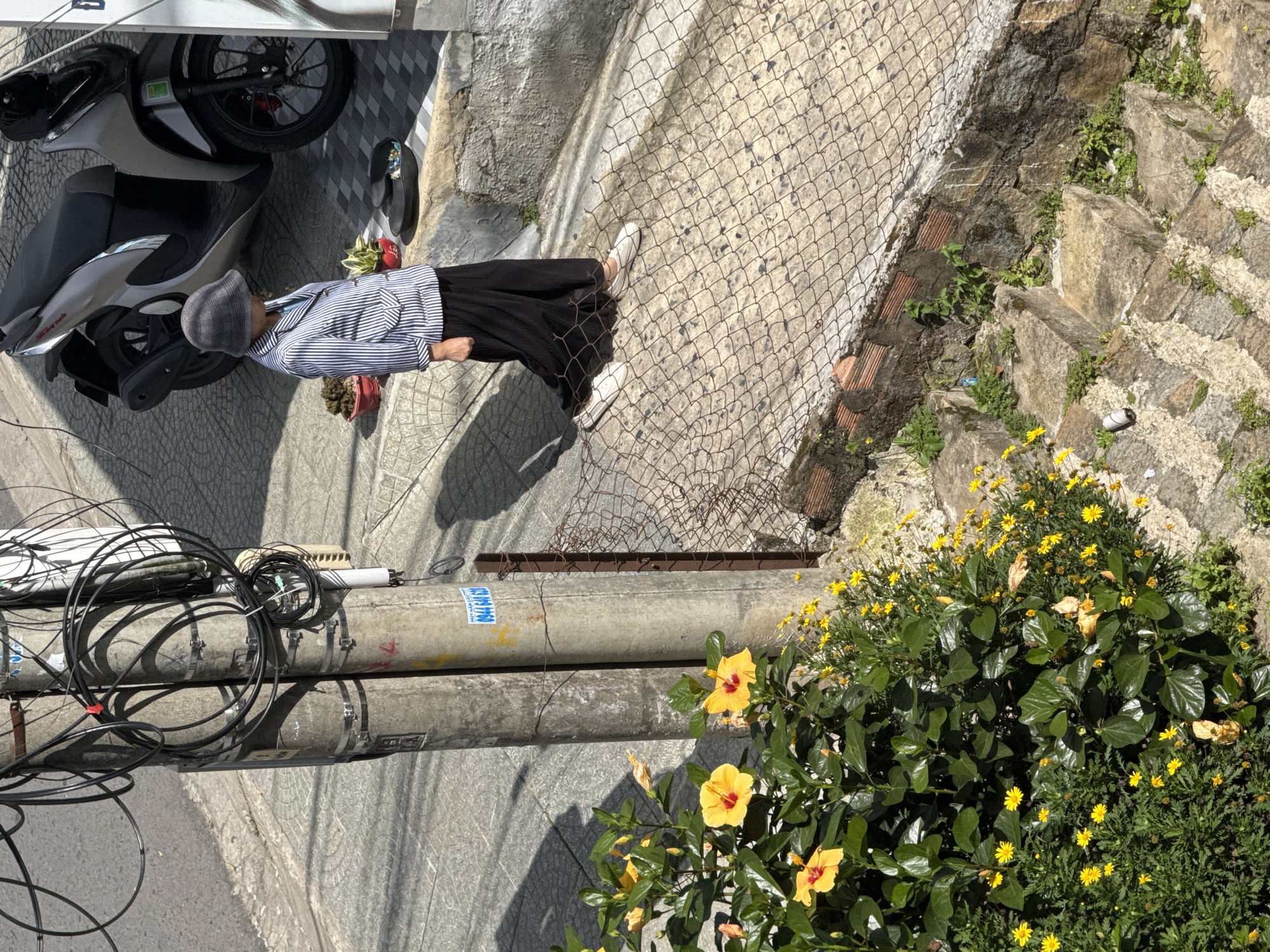 This image depicts a street scene in Da Lat, Vietnam, with a focus on a person and a motorcycle. The viewpoint is from above, looking down onto a sloped sidewalk and stairway. In the foreground, a lush bush with yellow hibiscus flowers and smaller yellow daisies is visible. To the right, a set of stone steps is partially overgrown with greenery.
Further up the slope, a person wearing a striped jacket, black skirt, and a hat is walking. They are positioned next to a silver scooter. The background includes a concrete utility pole with numerous electrical wires and cables. The ground is paved with concrete tiles in a checkered pattern. The scene appears to be on a sunny day, with distinct shadows cast by the utility pole and other objects.