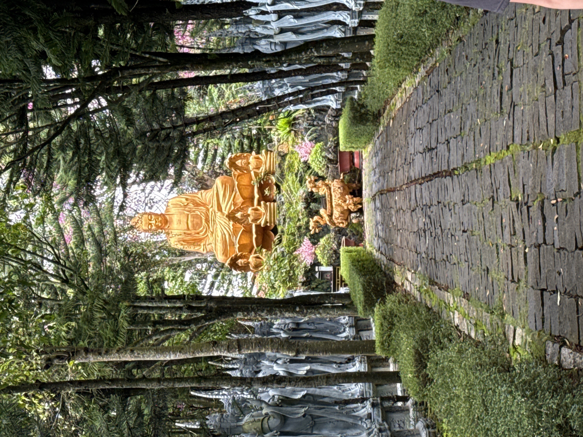 This is a full shot of a paved pathway leading through a lush, green garden towards a large, golden Buddha statue. The pathway is made of dark, rectangular stones with moss growing in the crevices. On either side of the pathway are manicured, bright green hedges. To the left of the pathway, a row of grey, stone statues of robed figures stands tall. To the right, more grey statues are visible. Behind the hedges and statues, tall trees with dense green foliage create a canopy overhead. The golden Buddha statue is seated in a meditative pose on a tiered pedestal surrounded by smaller statues and vibrant green foliage. There are also some pink flowers blooming in the garden. The overall scene conveys a sense of tranquility and spirituality. This appears to be the Bach Long Tu Temple in Nam Ban, Vietnam.
