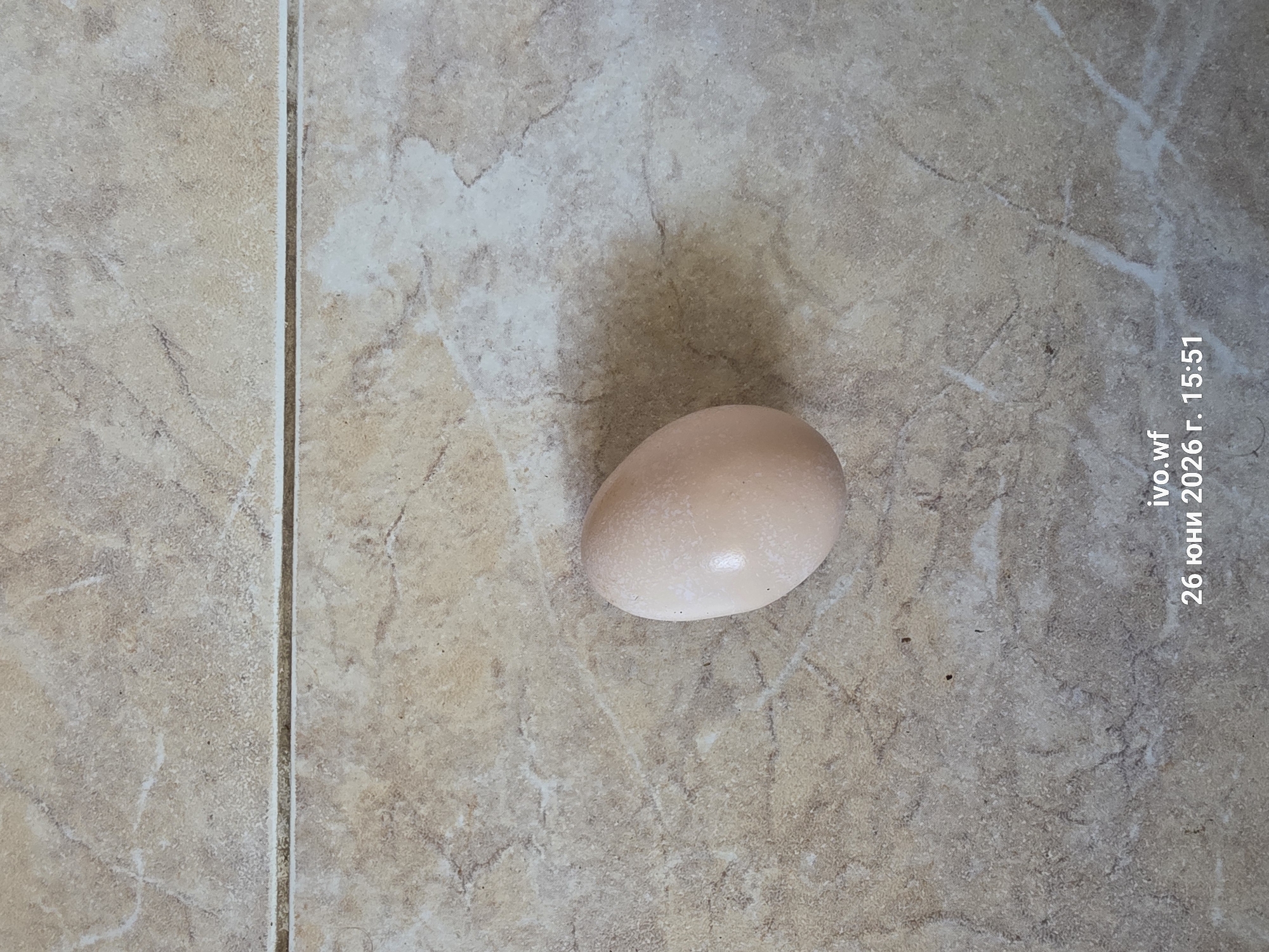 The image shows a single, light brown egg lying on a beige tiled floor. The tiles have a marbled pattern with brown and white streaks. A faint shadow of the egg is visible to its right. In the bottom right corner of the image, text reads "ivo.wf 26 юни 2026 г. 15:51". This indicates the image was taken on June 26, 2026, at 15:51. The location is specified as Chal, Bulgaria. There are no people, actions, or interactions depicted.