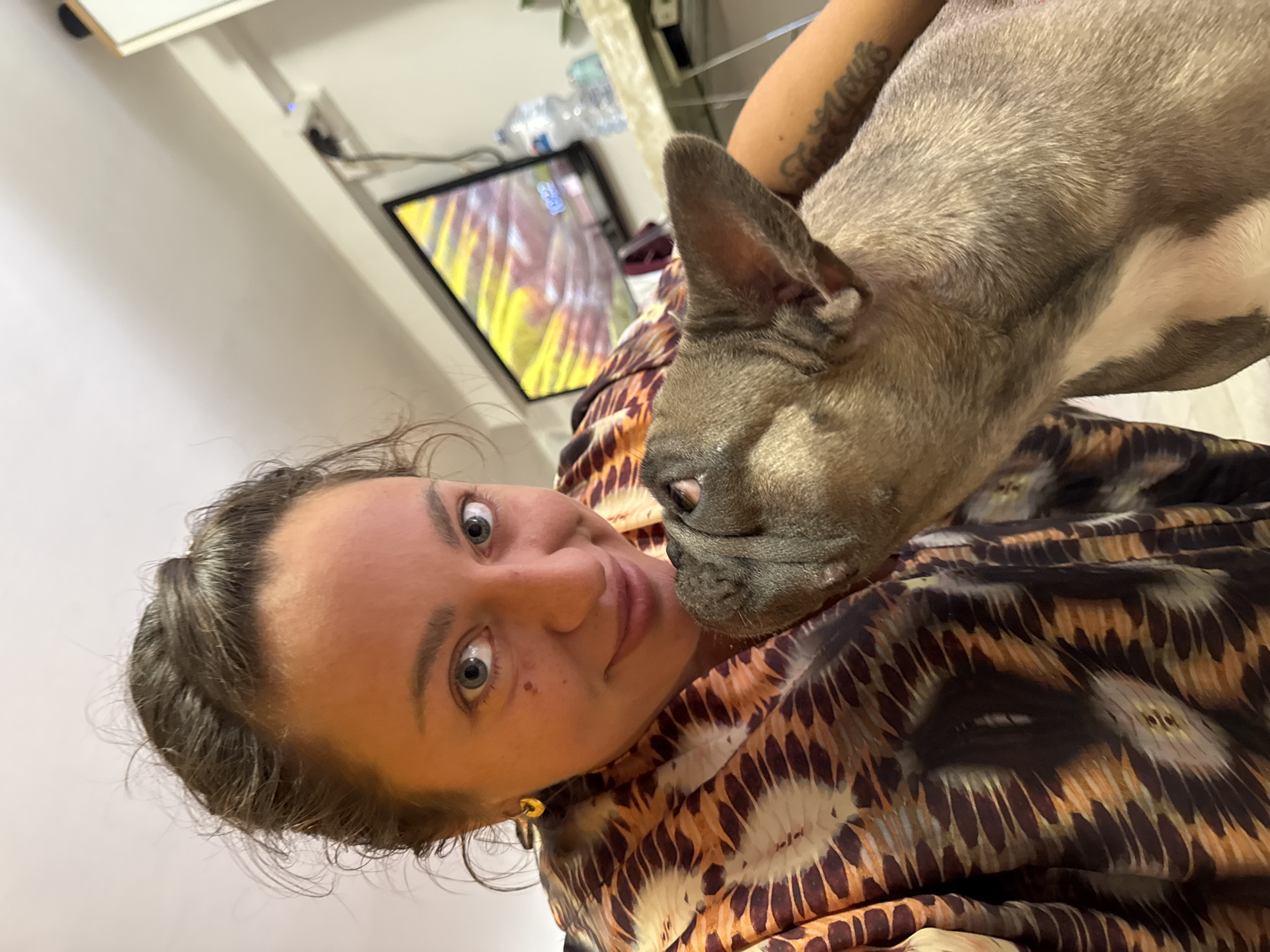 A woman with dark hair pulled back in a bun and blue eyes is taking a selfie with a French bulldog. The woman is wearing a patterned shirt with brown, orange, and white designs and a gold hoop earring. The French bulldog, a light gray color, is nuzzling the woman's face. In the background, a television is on, displaying a colorful abstract image. There are also some bottles of water and a table visible. The scene appears to be indoors, possibly in a living room. The setting is not identifiable as San Benedetto del Tronto, Italy.