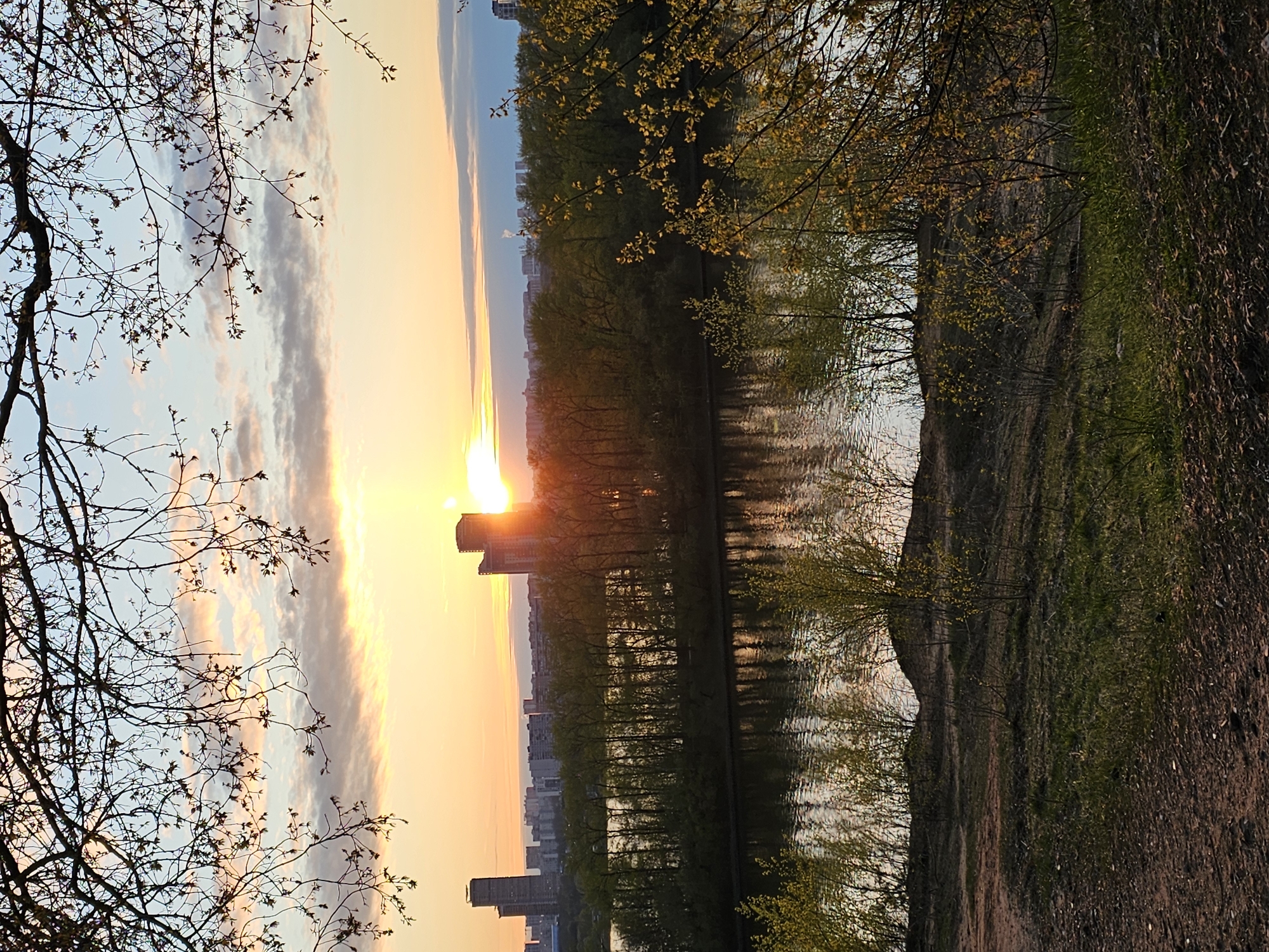 The image depicts a sunset over a body of water in Khimki, Russia. The sun is positioned low on the horizon, casting a bright orange glow across the sky and reflecting on the water's surface. Buildings are visible in the distance, silhouetted against the vibrant sky. Trees line the water's edge, some with budding leaves. A path or bank runs along the right side of the frame. Branches of a tree are visible in the foreground of the left side of the image.