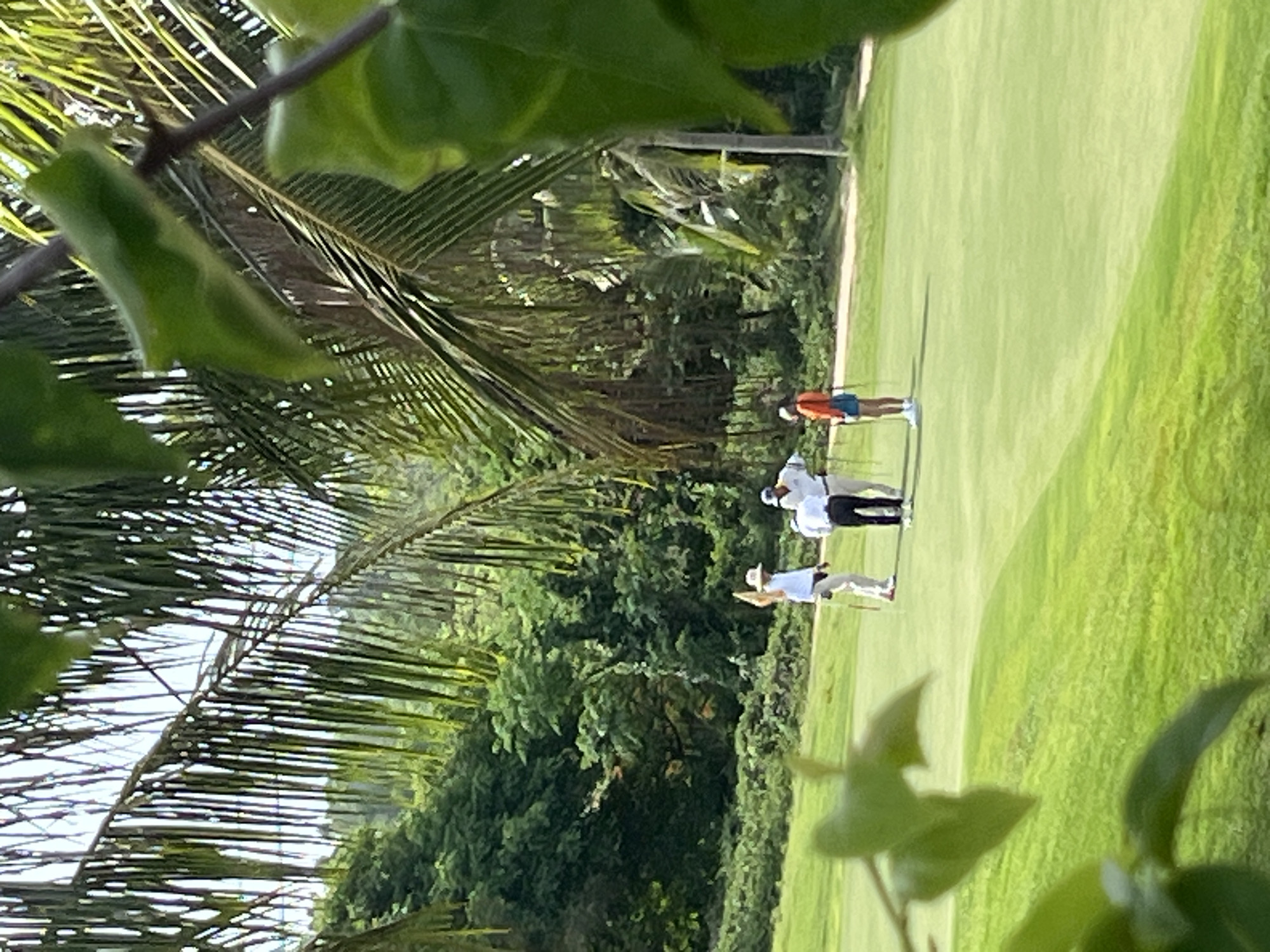 Four individuals are visible on a golf course in Phu Thuy Ward, Vietnam. The foreground is occupied by blurred green foliage, suggesting the image was taken through leaves. The golf course is a vibrant green, with gently rolling fairways and a putting green. In the mid-ground, three men and one woman are positioned on the course. One man, wearing a white shirt, white pants, and a hat, stands near a flagstick. Another man in a white shirt and black pants is facing away from the camera. A third man, in a white shirt, stands to the right. The woman is on the far right, wearing an orange top and blue shorts. Behind the golfers, a dense forest of green trees covers a hillside, with palm trees interspersed throughout the landscape. The sky is not visible in the frame.
