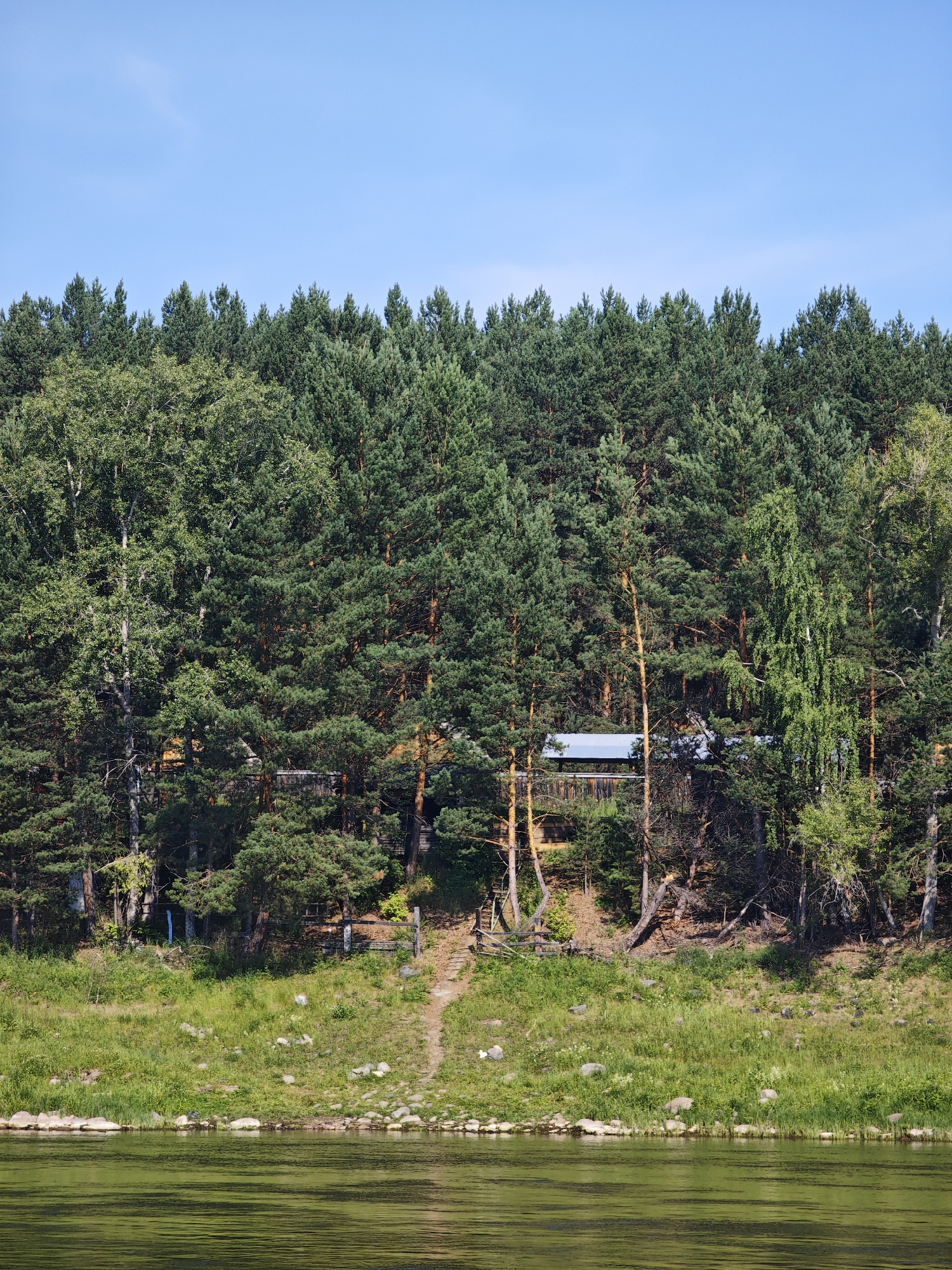 This is a wide shot of a dense forest bordering a calm, green body of water. The forest is primarily composed of tall pine trees, with some deciduous trees interspersed. Sunlight filters through the canopy, creating dappled shadows. A light blue sky stretches across the top of the frame. In the mid-ground, a building with a silver roof is visible amongst the trees, partially obscured by foliage. A dirt path winds its way up the grassy embankment towards the building. The embankment is dotted with rocks and wild vegetation. The water in the foreground has a reflective quality, with ripples indicating a gentle current. The scene depicts a natural landscape, likely a riverside area. This image was taken in Podporozh'e, Russia.