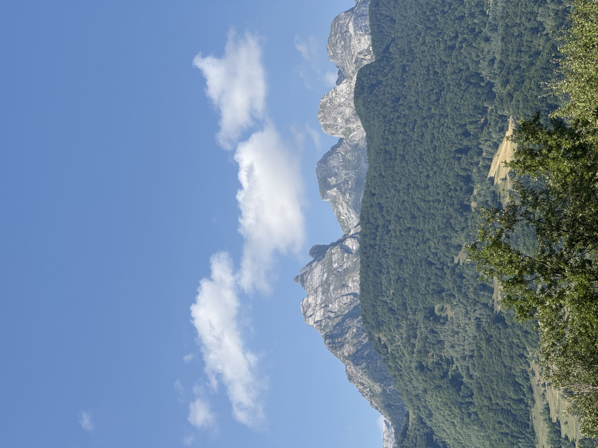 A landscape photograph depicts a panoramic view of rugged, rocky mountains rising above a dense, green forest. The sky is a clear blue with scattered white clouds. The mountains are characterized by their sharp peaks and weathered surfaces, with visible layers of rock. The forest below is a rich tapestry of trees, with some patches of lighter green suggesting clearings or different types of vegetation. In the foreground, the tops of trees are visible, adding depth to the scene. The overall impression is one of a natural, untouched mountain environment.