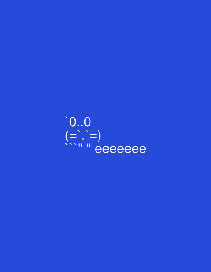 The image features a blue background with white text. The text appears to be an emoticon or a stylized representation of a face, followed by the word "eeeeeee". The characters are arranged in a way that suggests a face with eyes, a nose, and a mouth or expression. There are no discernible elements related to the city of Yerevan, Armenia, or any specific environmental context. The scene is abstract and purely text-based.