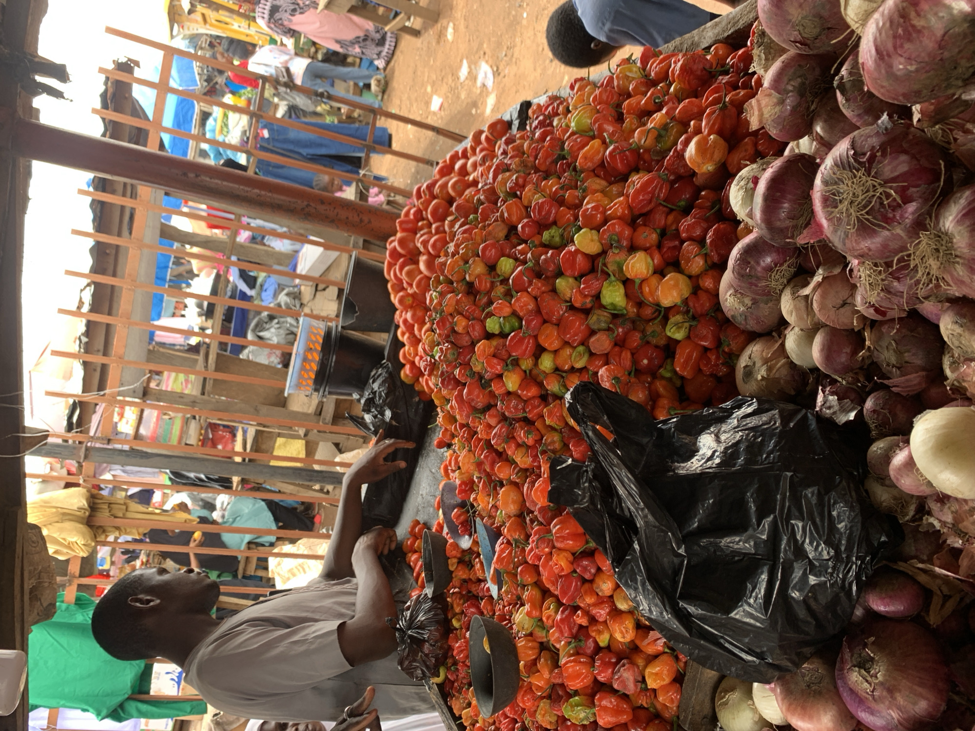 The image shows a vendor at a market in Ilorin, Nigeria, with a large display of Scotch bonnet peppers and onions. The vendor is a dark-skinned man in a light-colored shirt, looking to the left. The peppers are piled high on the table, a mix of red, orange, and green. A black plastic bag is partially visible among the peppers. To the right of the peppers are red and white onions. In the background are stalls with clothing and other goods. The market is open-air with a rudimentary wooden structure overhead.