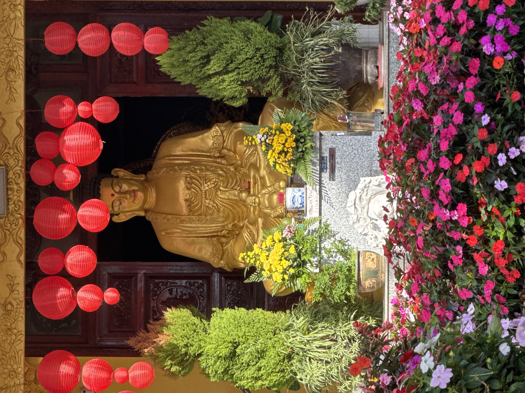 This is a medium shot of a Buddhist shrine in Da Lat, Vietnam. The shrine features a large, golden Buddha statue seated in front of a dark wooden door. Red paper lanterns hang in rows above the statue. In front of the statue, there are two bouquets of yellow flowers, one on each side of a smaller, white Buddha statue. The shrine is surrounded by lush greenery, including two conical evergreen trees on either side of the golden Buddha. A bed of vibrant pink and red impatiens flowers fills the foreground. The shrine appears to be located outdoors, possibly in a temple or garden.