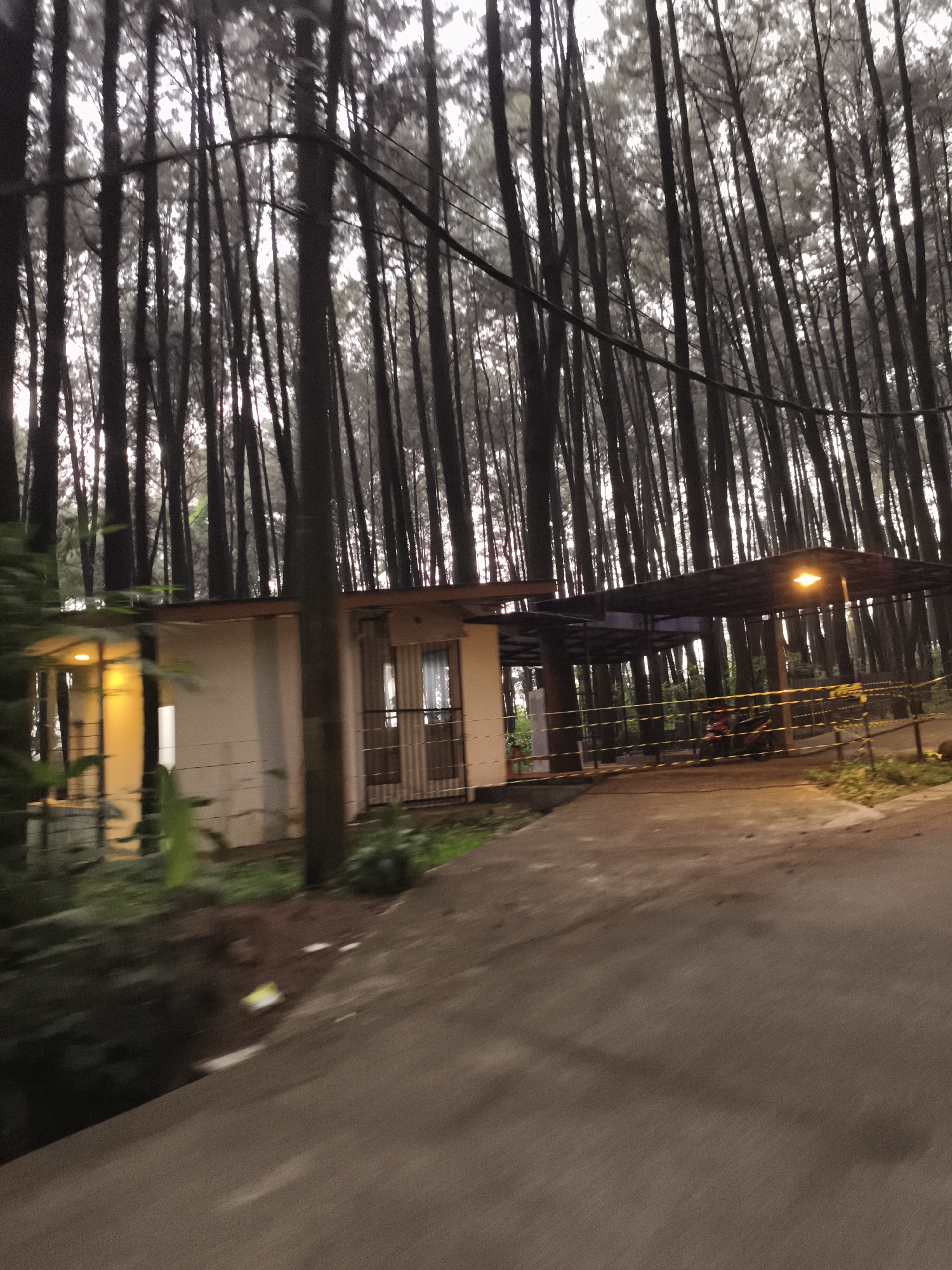 The image captures a dim, atmospheric scene within a dense forest of tall, slender trees, likely pines, under an overcast sky or during dusk/dawn. The photograph appears to be taken from a slightly moving vantage point, evidenced by the motion blur on the foreground road and some foliage.
In the mid-ground, a simple, light-colored building with an orange-brown roof edge is visible, illuminated by warm, yellow light emanating from its interior on the left side. Adjacent to this building, an open-sided, dark-roofed canopy structure extends, beneath which a warm, yellow street light casts a glow. Several motorcycles are parked under this canopy, behind a yellow barricade or tape.
The foreground consists of a paved road or path, curving slightly to the right. Green foliage and undergrowth are scattered around the building and along the road's edges. The dense tree canopy dominates the upper portion of the frame, with the muted sky visible in patches between the trunks. The scene suggests an entrance or facility within a wooded area, likely in Babakan Madang, Indonesia. No discernible text is visible.