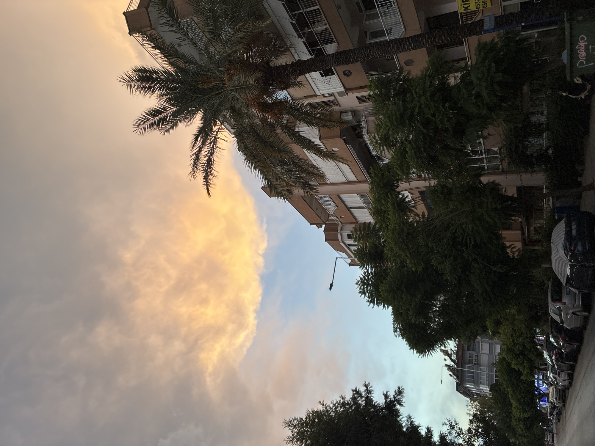 The image depicts a street scene in Alanya, Turkey, at dusk. The sky is filled with dramatic clouds, tinged with orange and yellow from the setting sun, contrasting with patches of blue. A tall palm tree, with its fronds spread wide, stands prominently in the foreground, silhouetted against the colorful sky. To its right, a multi-story apartment building, with light brown facades and white balconies, is visible.
Below the building and palm tree, a dense canopy of green trees lines the street. On the street itself, several cars are parked, some covered with protective sheets. A lamppost is visible above the trees. Further down the street, another apartment building with a blue facade can be seen, also adorned with numerous satellite dishes on its rooftop. The overall atmosphere suggests a quiet evening in a residential area.