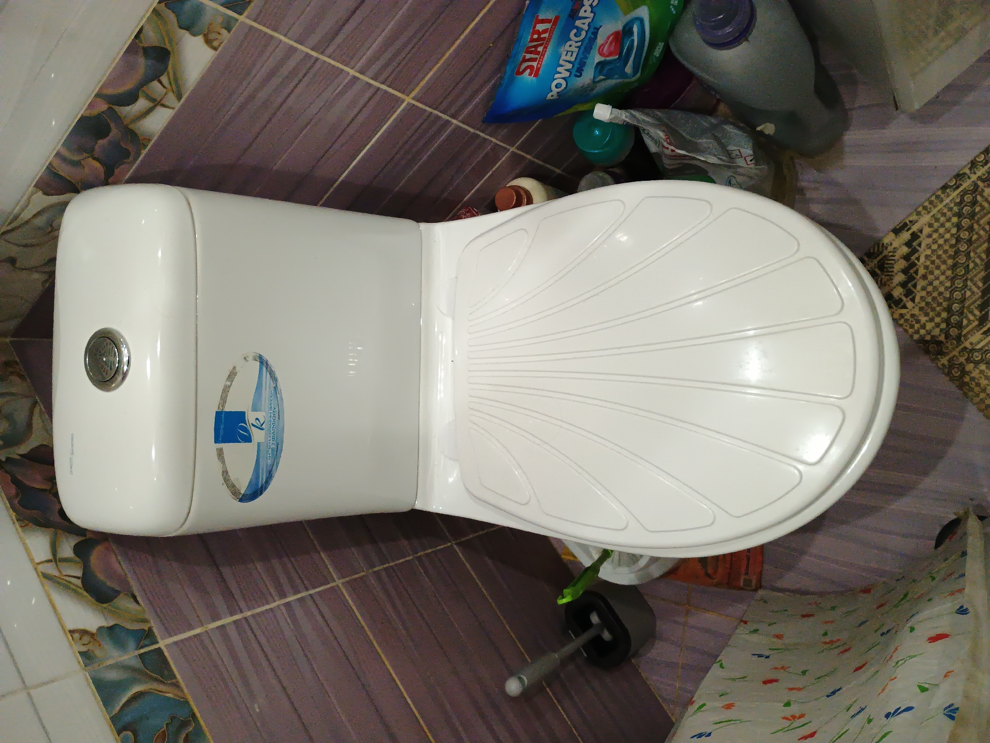 The image shows a white toilet with a patterned toilet seat in a bathroom. The toilet is positioned in a corner, with tiled walls in shades of purple and decorative floral patterns. To the left of the toilet, there is a toilet brush in a holder. To the right of the toilet, there are several cleaning product bottles and a bag of laundry detergent. A floral shower curtain is visible on the left side of the image. The floor is tiled with a patterned rug. The scene appears to be an indoor domestic environment.