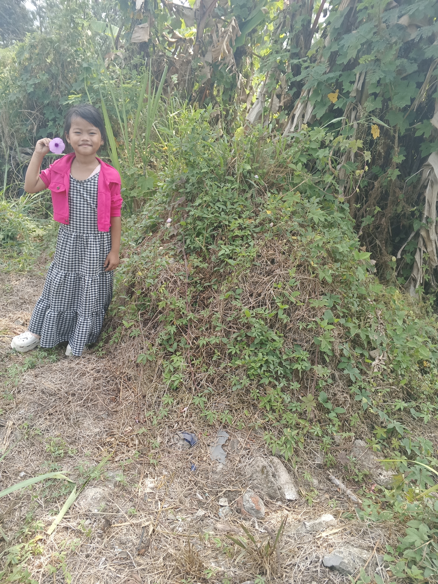 A young girl stands on dry, overgrown ground, holding a light purple flower to her left cheek. She is wearing a black and white checkered dress with ruffles at the bottom, and a bright pink jacket. Her hair is dark and short. Behind her, a large mound of green foliage is visible, with tall, dry grass and some banana trees further in the background. The area appears to be unkempt and rural. The scene is likely an outdoor, unpaved area. There is no discernible evidence linking this image to the city of Sukabumi, Indonesia.
