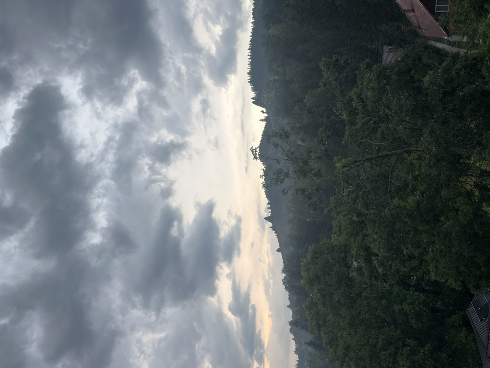 This is a vertical, somewhat blurry, eye-level shot of a dramatic sky and a wooded area. The left side of the image is dominated by a turbulent, gray cloudscape, with patches of lighter sky peeking through. The clouds suggest stormy or overcast weather. To the right of the sky, a dense forest occupies the middle ground and foreground, with the trees appearing dark green and lush. A faint haze or mist is visible amongst the trees, particularly in the middle distance.
In the far distance, on the right side of the image, a sliver of what appears to be a town or cluster of buildings is visible nestled amongst the trees on a hillside. The light suggests either early morning or late evening, with a pale yellow and orange glow emanating from the horizon where the sky meets the land. There are a few structures visible, one with a red roof, and another with what looks like solar panels on its roof. The overall mood is somewhat somber and atmospheric, possibly hinting at an approaching storm or the aftermath of one. There is no visible text in the image.