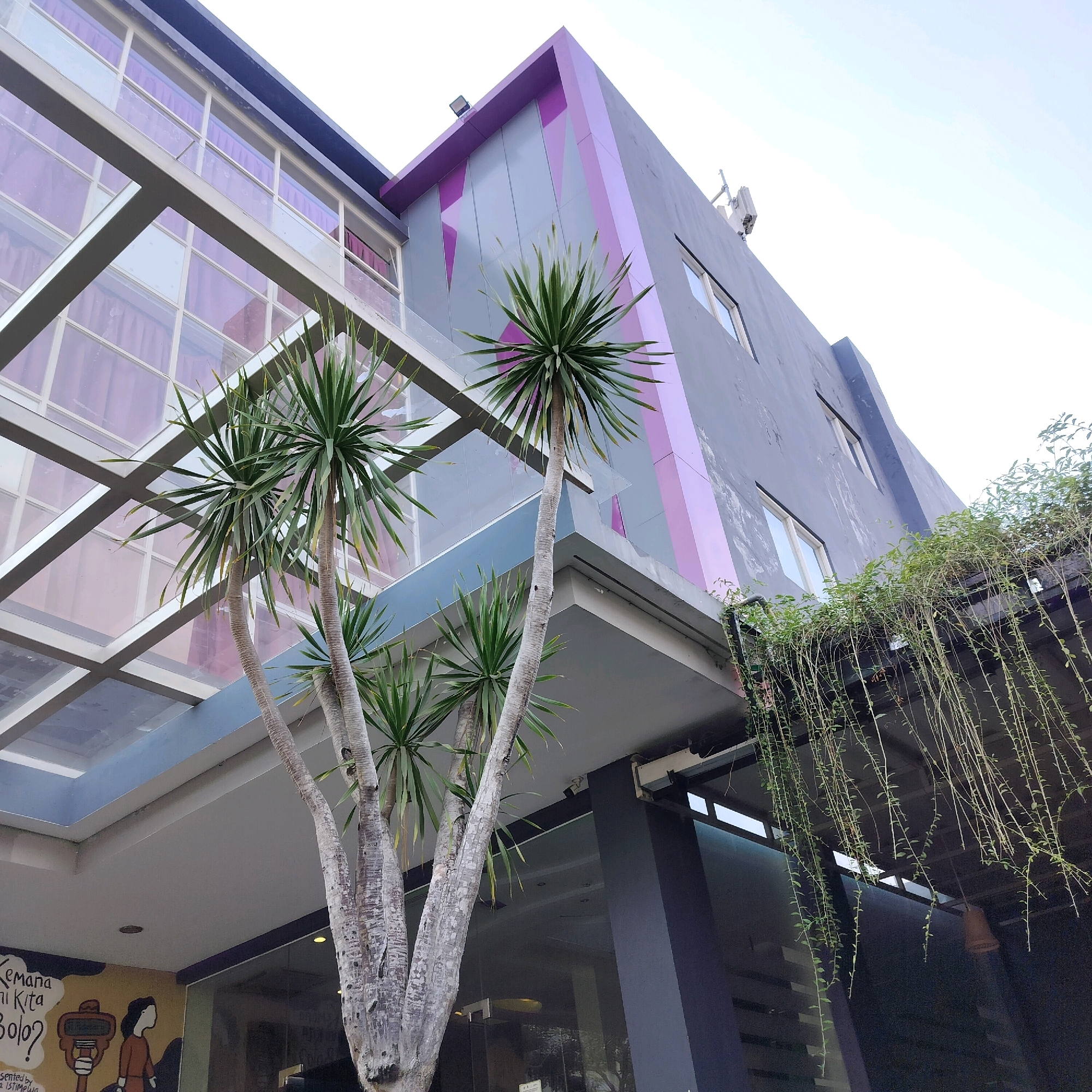The image captures a low-angle view of a modern building facade with distinct architectural features. The building is predominantly gray, accented with geometric patterns in shades of purple and pink on its upper sections. A large glass canopy extends over an entrance area, supported by a gray frame. Several palm-like trees with rough, textured trunks stand in front of the canopy, their fronds reaching upwards. Hanging plants cascade from an overhang on the right side of the building, adding a touch of greenery. The sky above is bright and overcast. The scene appears to be an exterior view of a commercial building, possibly a hotel or office space, situated in a city environment.