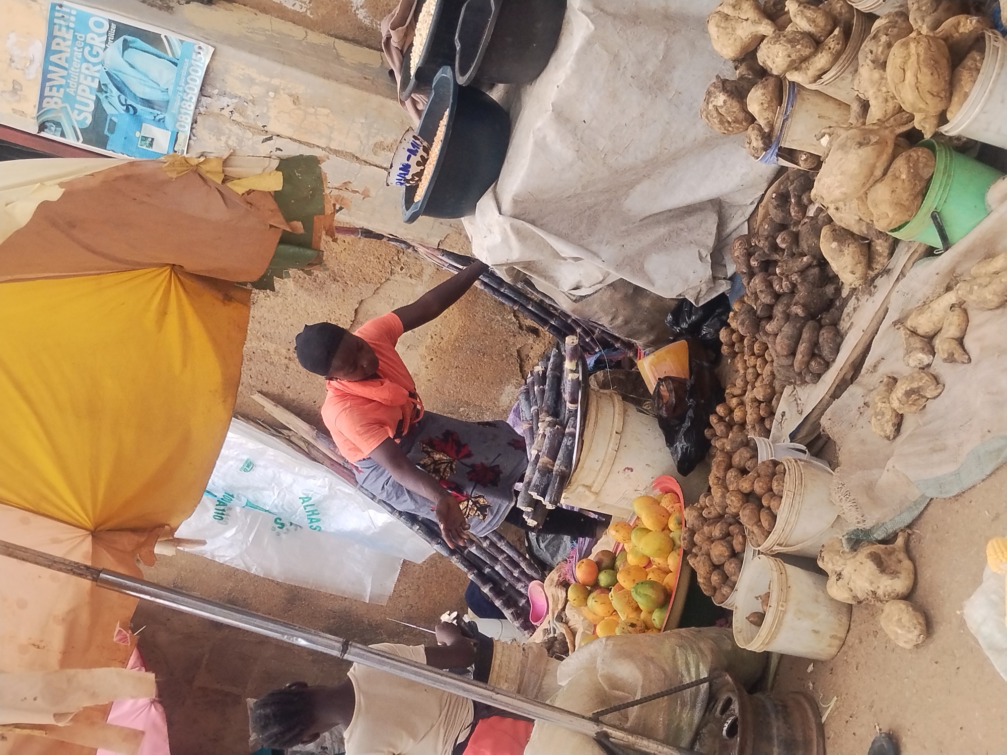 This image depicts an outdoor market stall, likely in New Stadium, Nigeria, selling produce and possibly other goods. A woman in an orange t-shirt and a grey patterned skirt is actively arranging stalks of sugarcane, reaching over a table covered with a white cloth. To her left, another person, wearing a light-colored t-shirt and red shorts, is also engaged with the sugarcane. In the foreground, a variety of root vegetables, including what appear to be yams and sweet potatoes, are piled in buckets and on the ground, along with a bowl of fruits like mangoes and oranges. Large sacks of produce are visible on the left side of the frame, and two dark basins filled with a granular substance, possibly maize or beans, sit on the covered table. A poster with text and an image is affixed to a wall in the background, and a yellow awning provides shade for the stall. The ground appears to be dirt or concrete, typical of a marketplace. The overall scene suggests a busy, everyday commercial activity in a Nigerian setting.