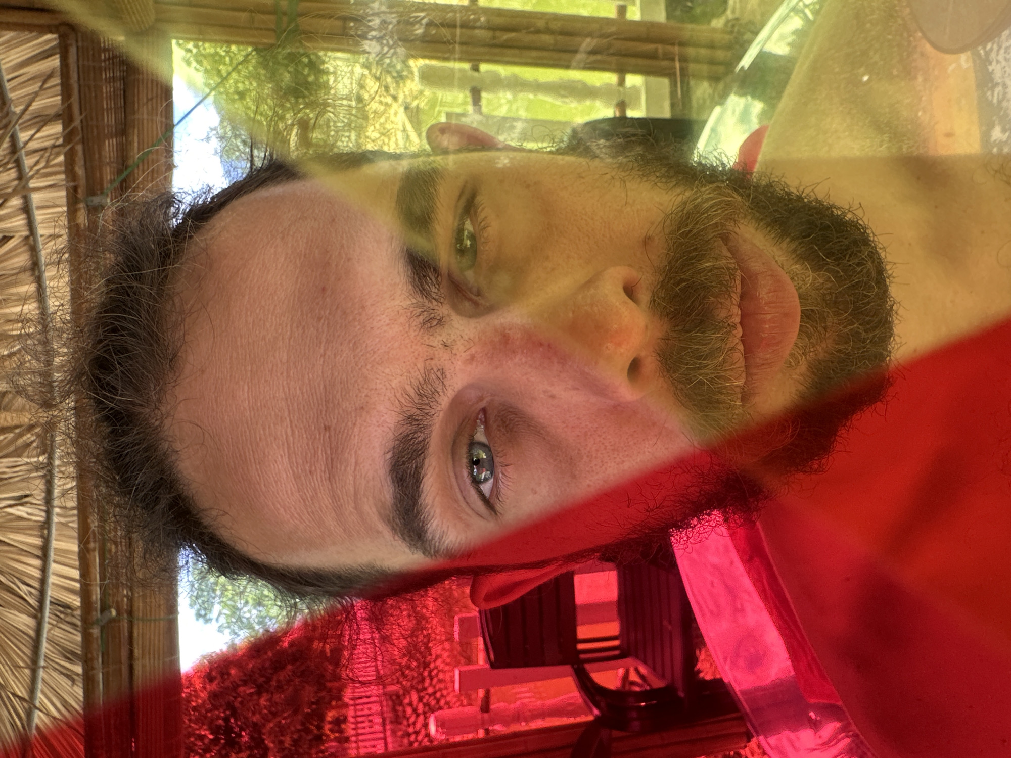 The image presents a close-up, eye-level frontal portrait of an adult male. The subject has dark, slightly disheveled hair and a full beard and mustache. He maintains a direct, neutral gaze into the camera. The scene is bisected by distinct color filtration: the entire left half of the frame, including the subject's left facial features and the background elements, is saturated in red light. The entire right half of the frame, encompassing the subject's right facial features and the background, is saturated in yellow light. This causes the subject's left eye to appear blue-grey and his right eye to appear green-hazel.
In the background, behind the subject, an outdoor environment is visible through the colored filters. On the red-tinted left, a dark metal chair or bench with a slatted design is present, alongside white or light-colored vertical posts. Beyond these, dense green foliage, rendered red, is apparent. On the yellow-tinted right, additional foliage is visible, appearing yellow-green, along with a light-colored fence or balustrade and a lighter, possibly sky-filled, background. Above the subject, a section of a thatched roof or canopy made of natural fibers is discernible. The setting is an outdoor or semi-sheltered area in Nghia Lo Ward, Vietnam.