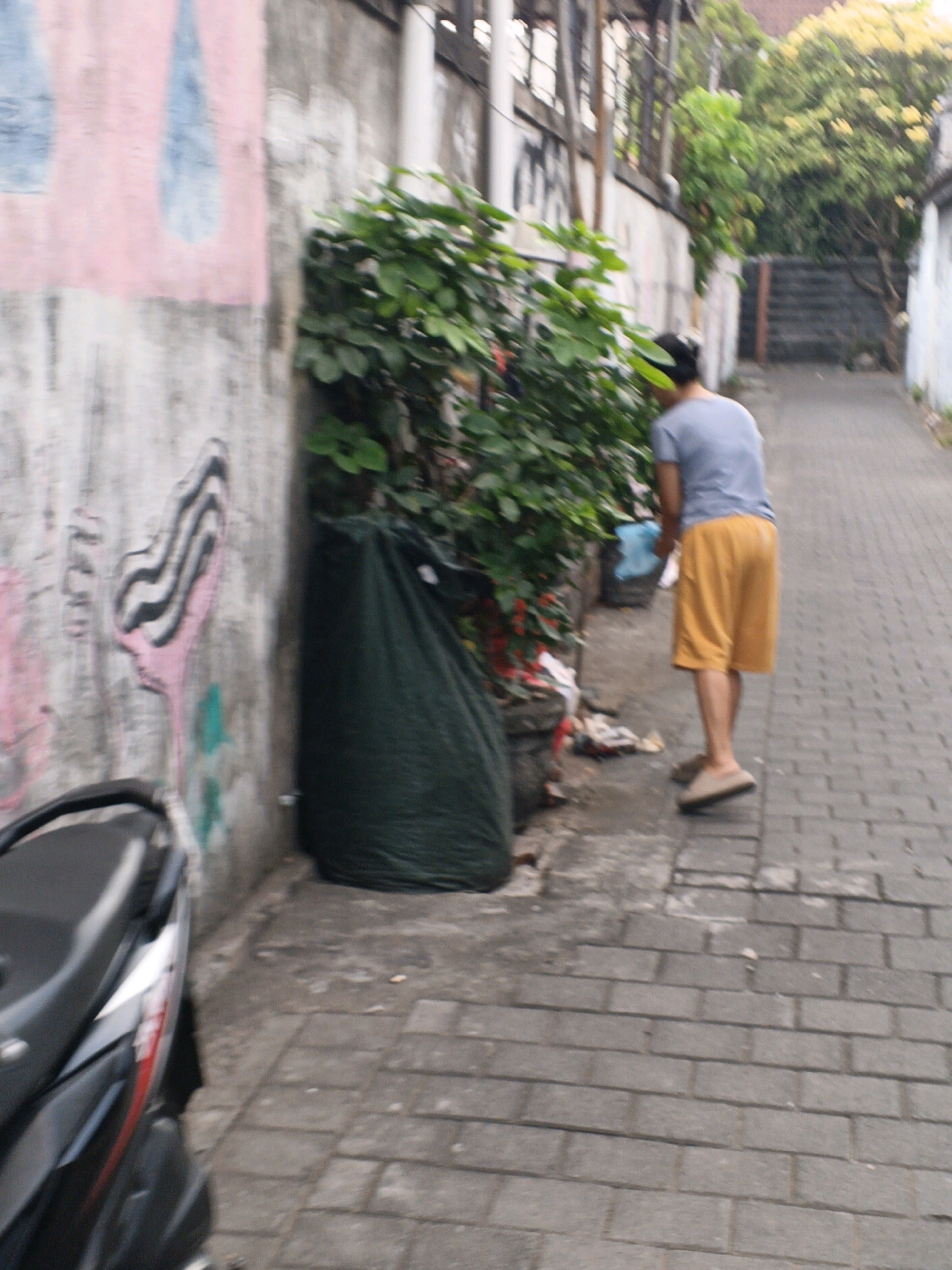 A person wearing a blue t-shirt and orange shorts stands facing away from the camera on a paved walkway in Denpasar, Indonesia. The walkway is bordered by a grey concrete wall with graffiti and a patch of green foliage. A large green trash bag is situated next to the foliage. In the foreground, a portion of a black and silver motorcycle is visible. In the background, trees with yellow flowers are present, along with buildings and other structures typical of an urban environment in Denpasar.
