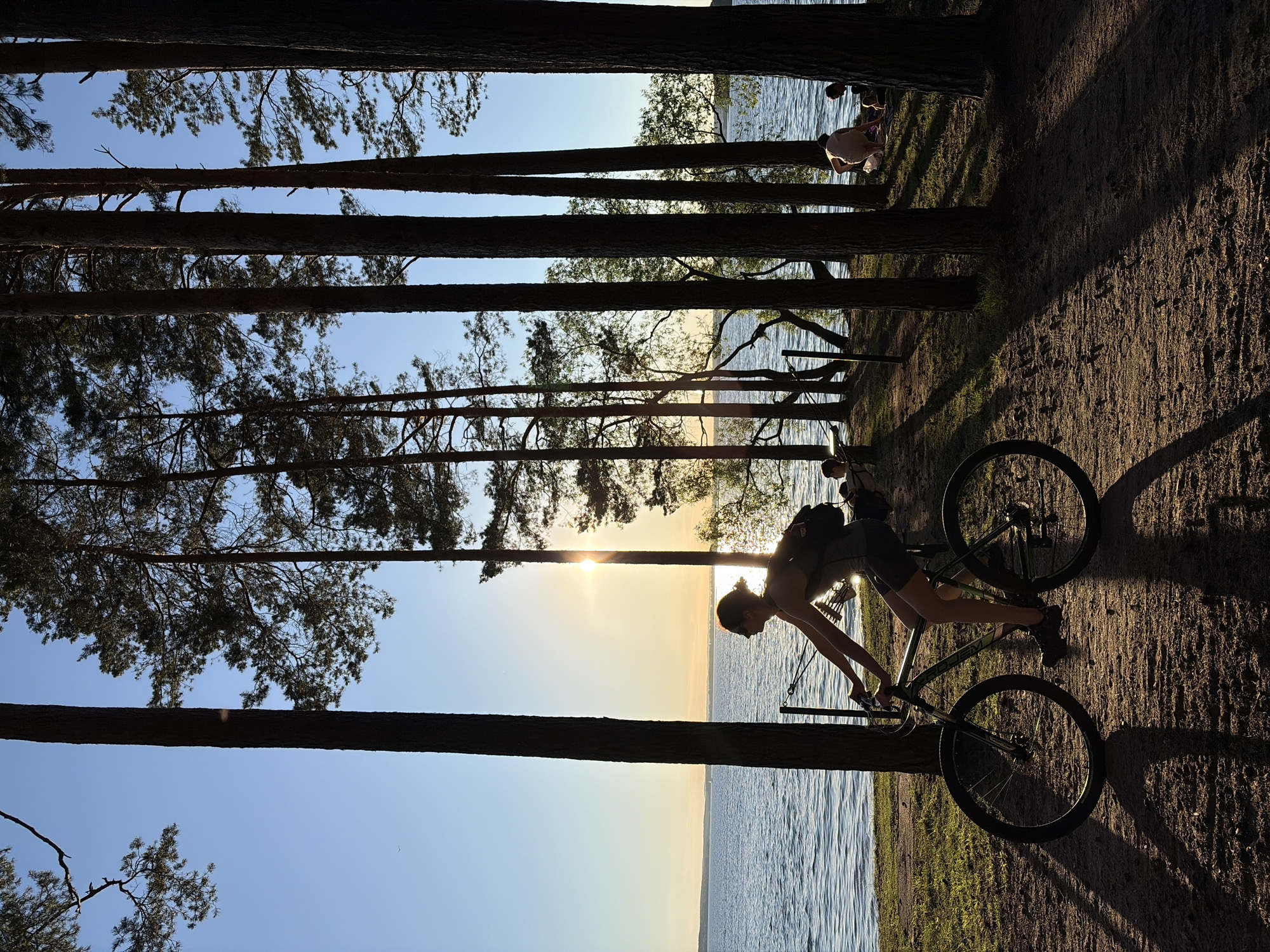 The image depicts a sunny day by a body of water, likely a lake, in the vicinity of Ждановіцкі сельскі Савет, Belarus. Tall pine trees line the sandy shore, casting long shadows. In the foreground, a person is silhouetted on a bicycle, facing away from the viewer and towards the water. The person wears a tank top and shorts and has a backpack. The sun is setting or rising, low in the sky and partially obscured by trees, casting a warm glow on the scene. In the background, several other people are visible near the water, some sitting or lying down on the shore, and others appearing to be interacting. The water is calm with ripples, and a few small boats are visible on the horizon. The overall atmosphere is one of leisure and outdoor recreation.