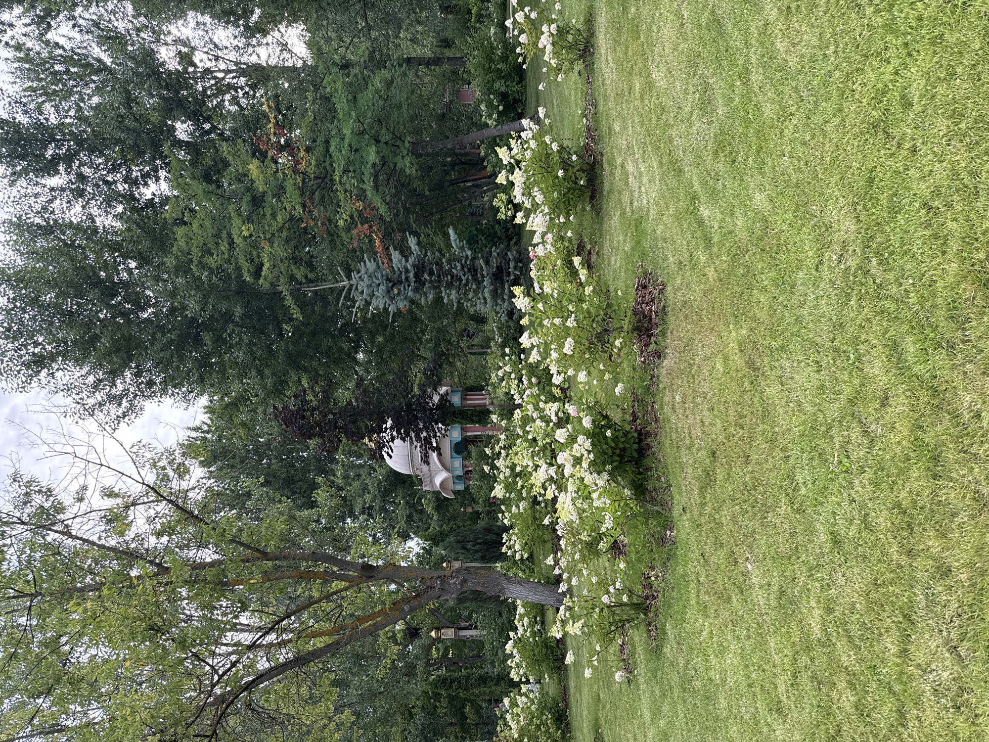 The image shows a manicured garden with lush green grass and blooming white hydrangeas. In the background, there are several trees of various sizes and types, including a tall, slender blue spruce. A small, ornate gazebo with a domed roof, painted in pastel colors, is visible amongst the trees. Two decorative lantern-like structures with golden tops are also present. The sky is overcast with a few patches of blue. The scene appears to be in a park or botanical garden. This image was taken in Moscow, Russia.