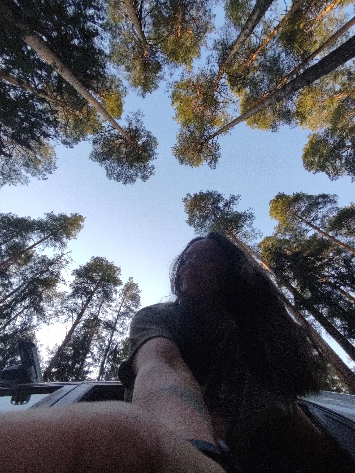 The photograph is taken from a low angle, looking up towards tall trees and a light blue sky. The trees are mostly dark green and brown, with some showing brighter green leaves. At the bottom of the frame, there are parts of a vehicle and a person's arm and shoulder visible, with the person facing away from the camera. The photo appears to have been taken in a forest area in Chaikovsky, Russia.