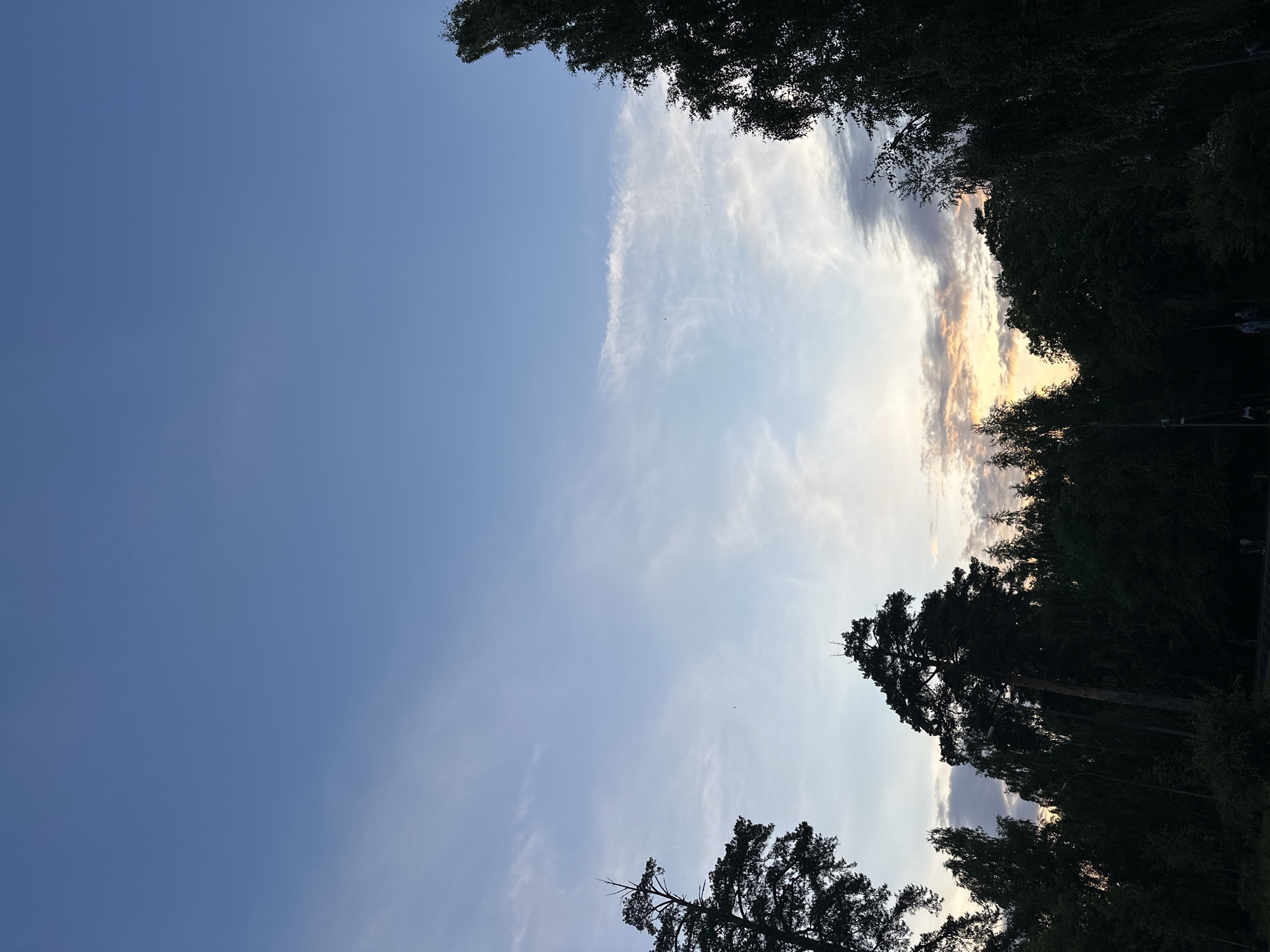 The image depicts a dusky sky over a silhouetted forest with scattered clouds. The sky transitions from a clear blue at the top to lighter hues near the horizon, where a soft, warm glow suggests an approaching sunset. Wispy white clouds streak across the mid-sky. The foreground is dominated by the dark shapes of various trees, some tall and coniferous, others broader and leafy, forming a dense canopy. The ground is indistinct and dark, with a pathway visible in the lower right quadrant where two figures are dimly seen walking. The overall impression is that of a tranquil evening in a park or wooded area. While the image does not contain specific landmarks to pinpoint its location within Kazan, Russia, it captures a natural setting consistent with urban parks or recreational areas that often feature such tree-lined landscapes.