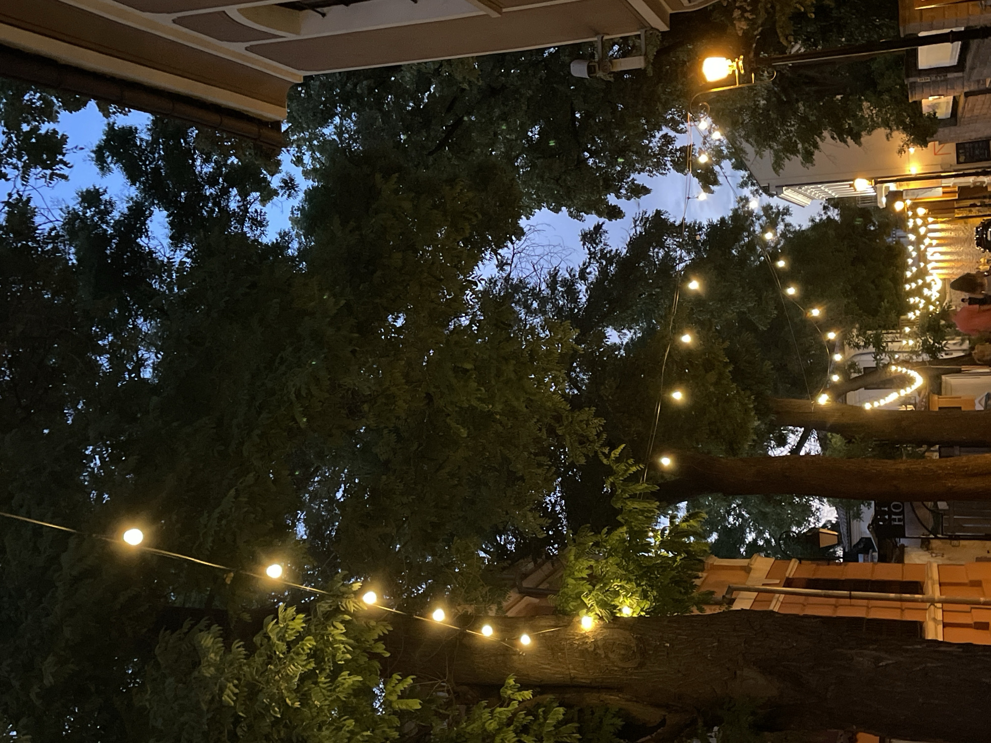 This is a medium shot, oriented vertically, of an outdoor setting at dusk. The sky is a deep blue, indicating twilight. Dominating the scene are the lush green canopies of several large trees. Strung between the trees and buildings are numerous string lights, emitting a warm, yellow glow. These lights create a festive and inviting atmosphere.
In the background, there are glimpses of buildings with terracotta-tiled roofs and some windows visible. One building has a sign with the partial text "HO" clearly legible, suggesting a business establishment. The lighting suggests that the event or activity is taking place in the evening, perhaps an outdoor dining or gathering area. The overall mood is serene and cozy, enhanced by the interplay of natural foliage and artificial light. The location context suggests Plovdiv, Bulgaria, which aligns with the architectural style and vegetation visible. No people are clearly discernible in the image, but the setup implies human presence and activity in the immediate surroundings. The weather appears calm, with no indication of wind or rain.