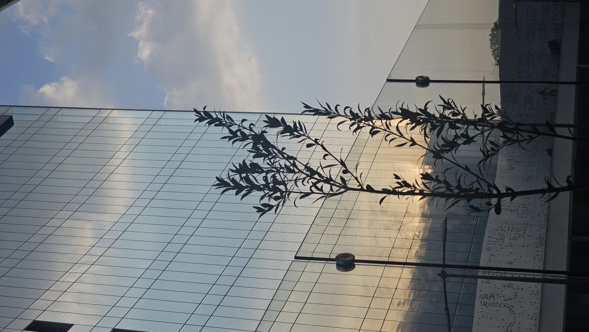 The photograph shows a modern architectural scene in Puebla, Mexico. A tall, glass-paneled building reflects the colors of the sky, which transitions from blue to golden hues, suggesting either sunrise or sunset. Silhouetted against the glass are the branches of a tree or plant, positioned in the foreground. Adjacent to the glass facade is a perforated structure, possibly part of the same building or an adjacent one. The image is taken from a slightly low angle, emphasizing the height of the building. Street lamps are seen in the foreground, adding to the urban context of the scene.