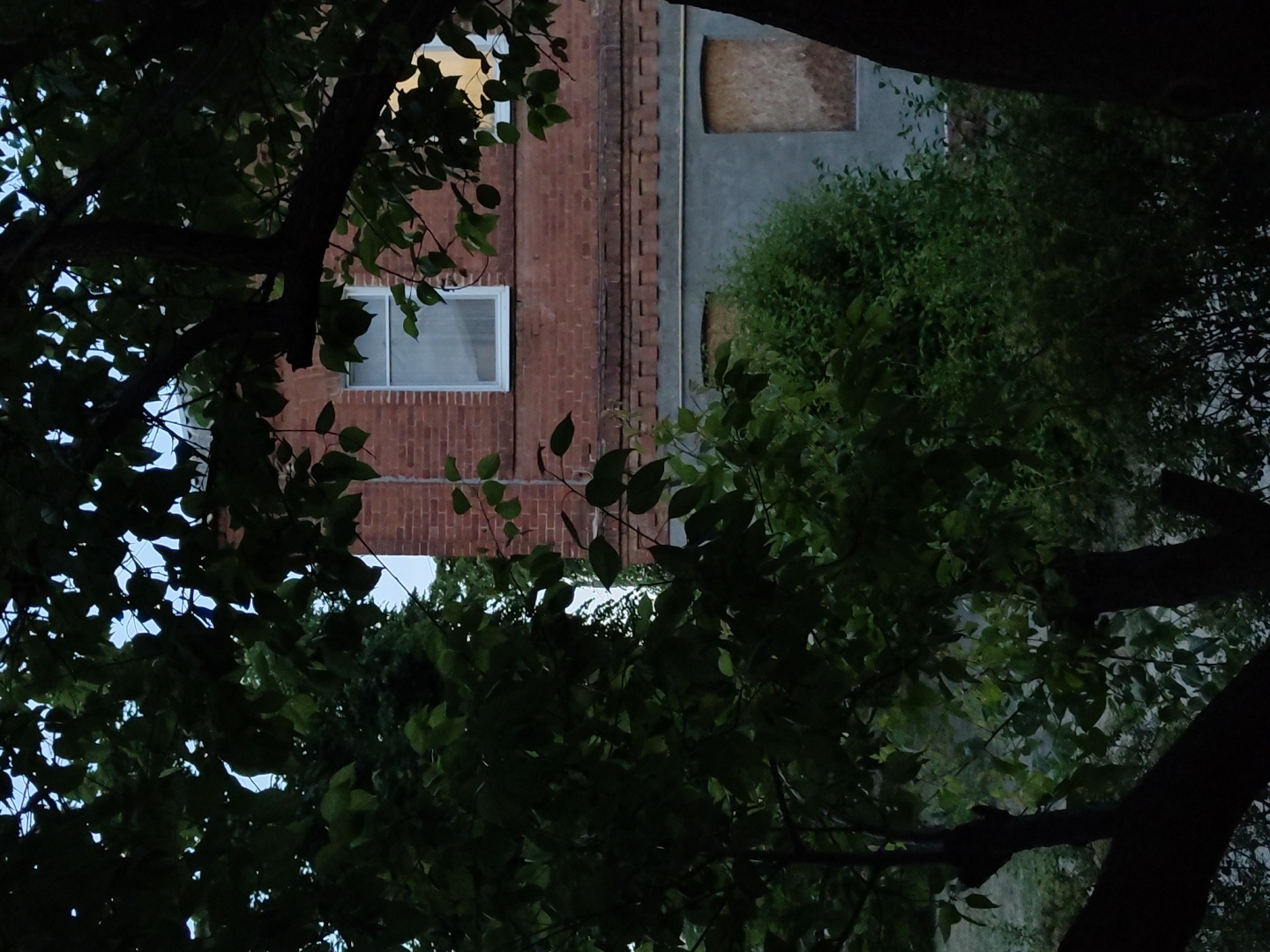 A nighttime view through trees of a red brick building with white-framed windows. Two of the windows are boarded up. The trees obscure most of the building. The location is Unknown, Unknown.