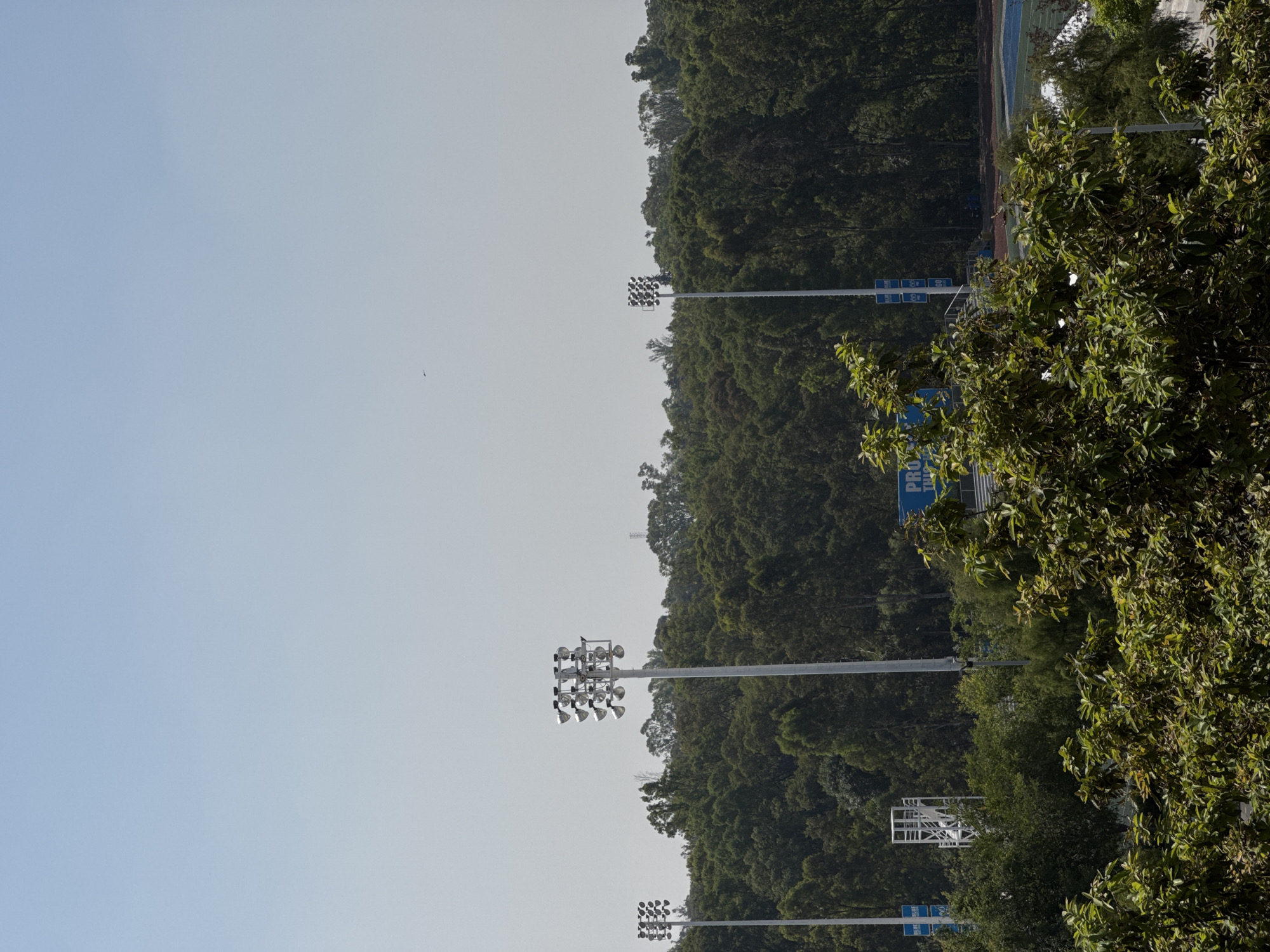 The image shows a partial view of a sports complex in Puebla, Mexico. The sky is a pale blue. In the foreground, a dense cluster of green trees and shrubs partly obscures the scene. Several tall light poles with multiple spotlights are visible. Behind the light poles is a thick line of dark green trees covering a hill. A section of a blue running track is discernible. Various signs with blue backgrounds are also present.