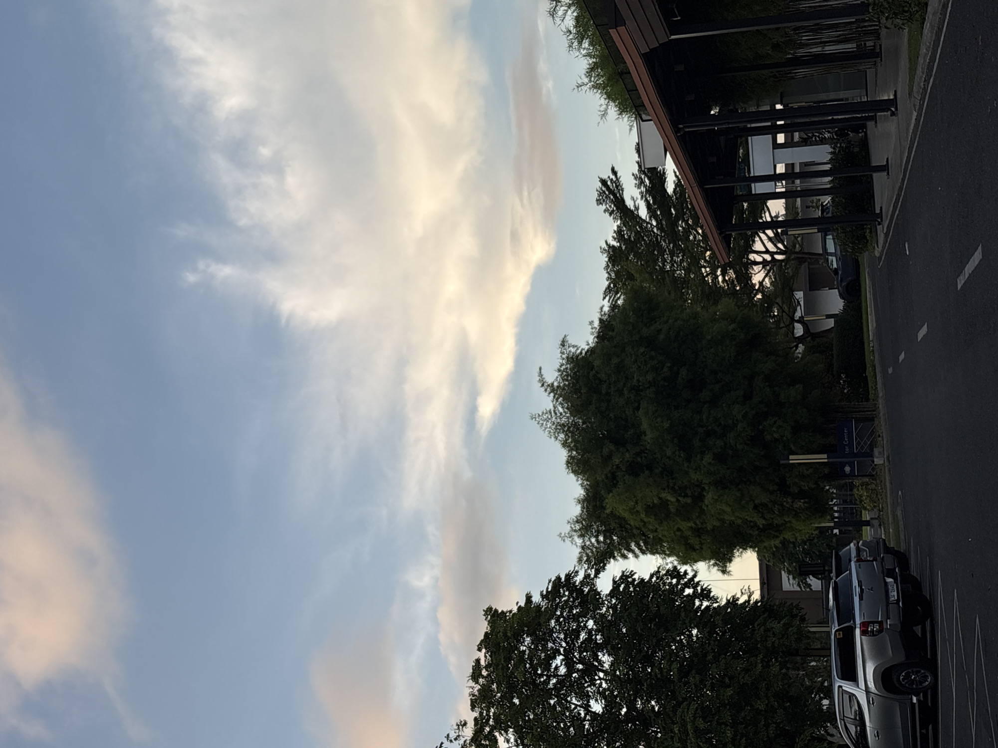 The image depicts a street scene in Davao City, Philippines, during what appears to be late afternoon or early evening. The sky is a soft blue, adorned with scattered clouds tinged with pink and yellow hues, suggesting the setting sun.
In the foreground, a dark asphalt road with white lane markings curves to the right. To the left of the road, a silver pickup truck is parked in a lot. Further back on the left, a dense, mature tree with dark green foliage dominates the scene.
To the right of the road, a modern building with a dark, sloped roof supported by dark pillars is visible. Along the side of this building, tall, slender bamboo-like plants create a vertical pattern. Beyond the building, more trees and some structures can be seen in the distance. A sign that reads "Tor Center" is visible on a post near the bamboo plants. The overall environment appears to be a well-maintained urban or semi-urban area. There are no people visible in the image.