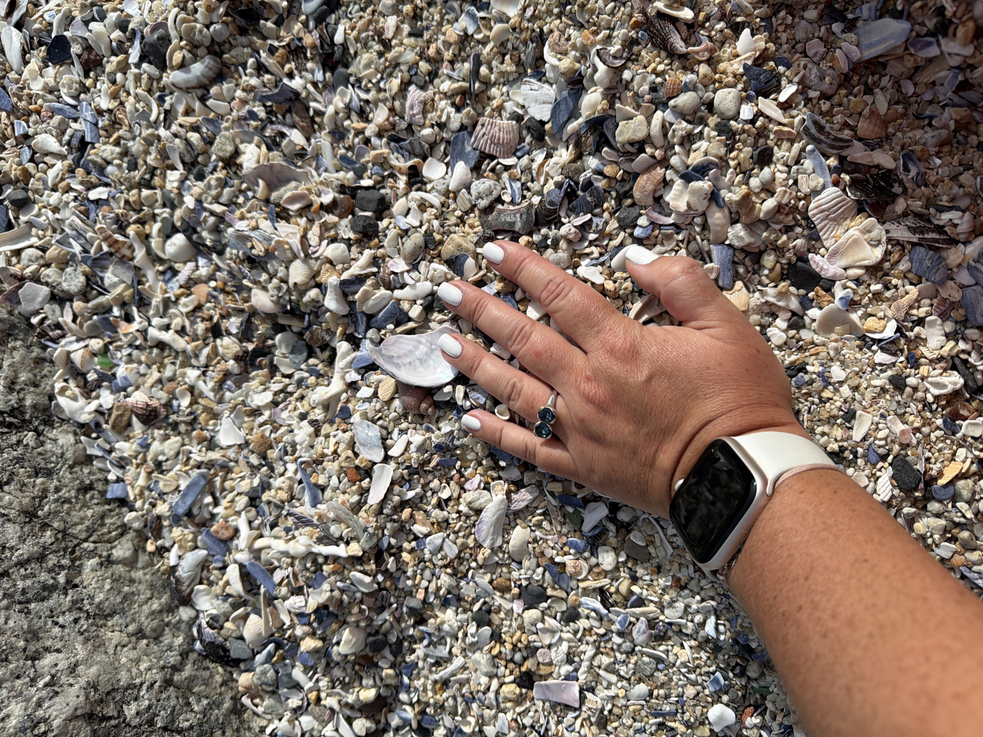 Here is a detailed description of the image:
**Scene:** An overhead shot of a beach densely covered with small seashells and pebbles. A person's hand rests on the shell-strewn beach.
**Subjects and Objects:**
* **Seashells and Pebbles:** The beach is blanketed with countless small, broken seashells and pebbles in shades of white, gray, and tan, creating a textured surface.
* **Hand:** A fair-skinned hand with white nail polish rests on the shells. A ring with two round, dark stones adorns the ring finger.
* **Watch:** A smartwatch with a light-colored band is visible on the wrist.
* **Rock Outcrop:** In the bottom left corner, a portion of a large, rough rock formation is visible, suggesting a transition from sandy beach to rocky terrain.
**Environment:**
* **Beach:** The setting is clearly a beach environment, indicated by the abundance of seashells.
* **Cape Town, South Africa:** While the image alone doesn't provide definitive evidence of Cape Town, the combination of beach and rock formations suggests a coastal area consistent with the geography of Cape Town. The specific location within Cape Town cannot be determined without additional context.
**Actions and Interactions:**
* **Resting Hand:** The hand appears to be resting gently on the shells, suggesting observation or casual contact. No active manipulation of the environment is apparent.