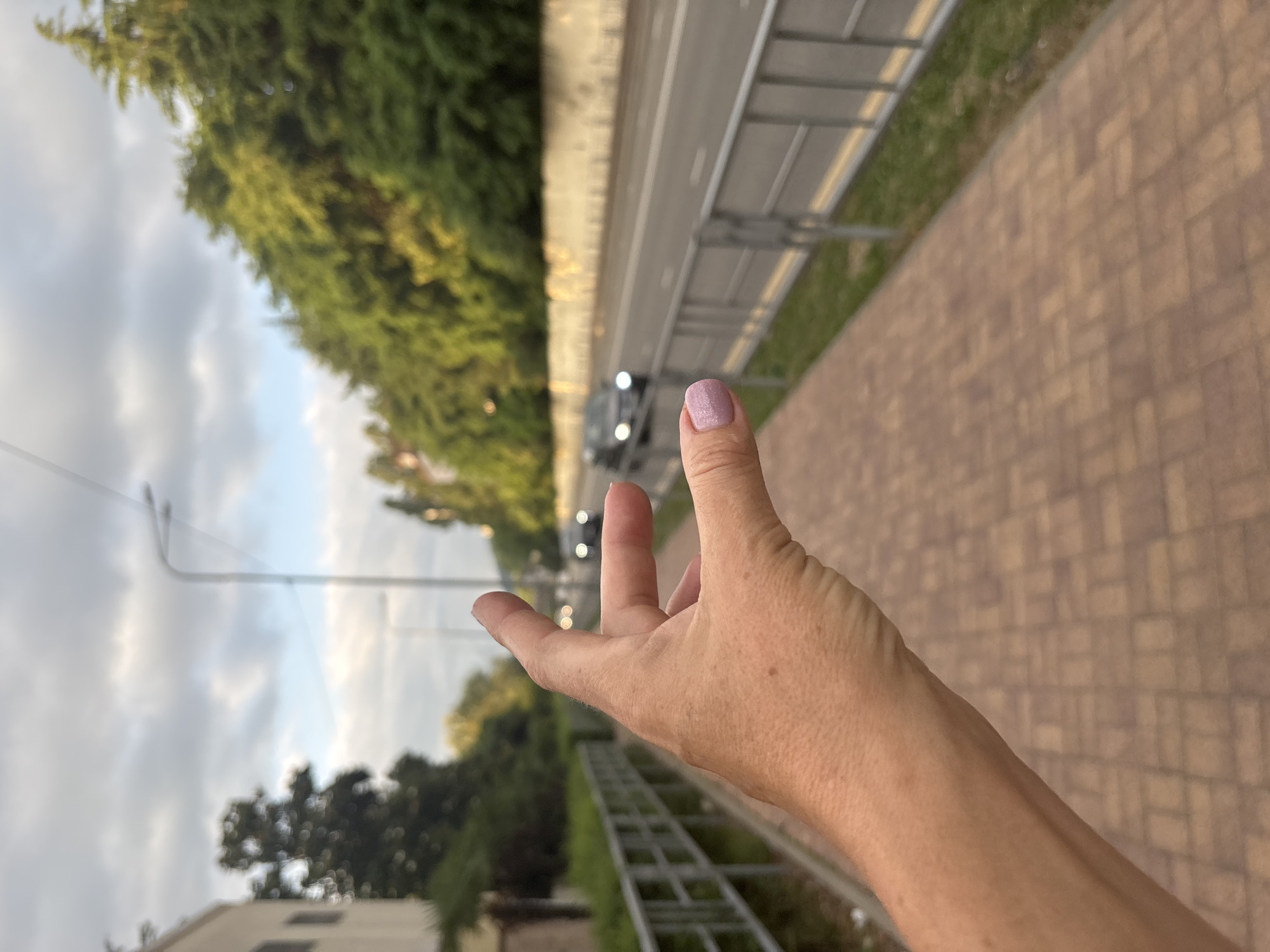 A human hand is held up in the foreground, with the thumb and index finger curved to form a "pinch" gesture. The hand has lightly tanned skin with visible pores and a slight sheen. The fingernail of the index finger is painted with a light lavender glitter polish. The background is out of focus, showing a paved pedestrian walkway with a brick-like pattern and a metal railing. Beyond the walkway is a multi-lane road with a few cars driving on it, their headlights visible. Dense green foliage lines the far side of the road, suggesting a park or natural area. In the far background, a tall lamppost with a bent arm is visible, along with a building on the left side of the frame. The sky is cloudy with patches of blue. The image is likely taken in Sochi, Russia, given the presence of lush green trees and a coastal road.