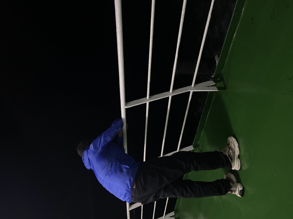 A person in a blue jacket and black pants is on a green surface, holding onto a white railing. The person appears to be leaning against the railing, with their feet planted firmly on the green surface. The background is a dark, almost black sky. The railing is made of vertical and horizontal white bars, creating a grid-like structure. The overall scene is somewhat mysterious due to the dark background and the person's posture.