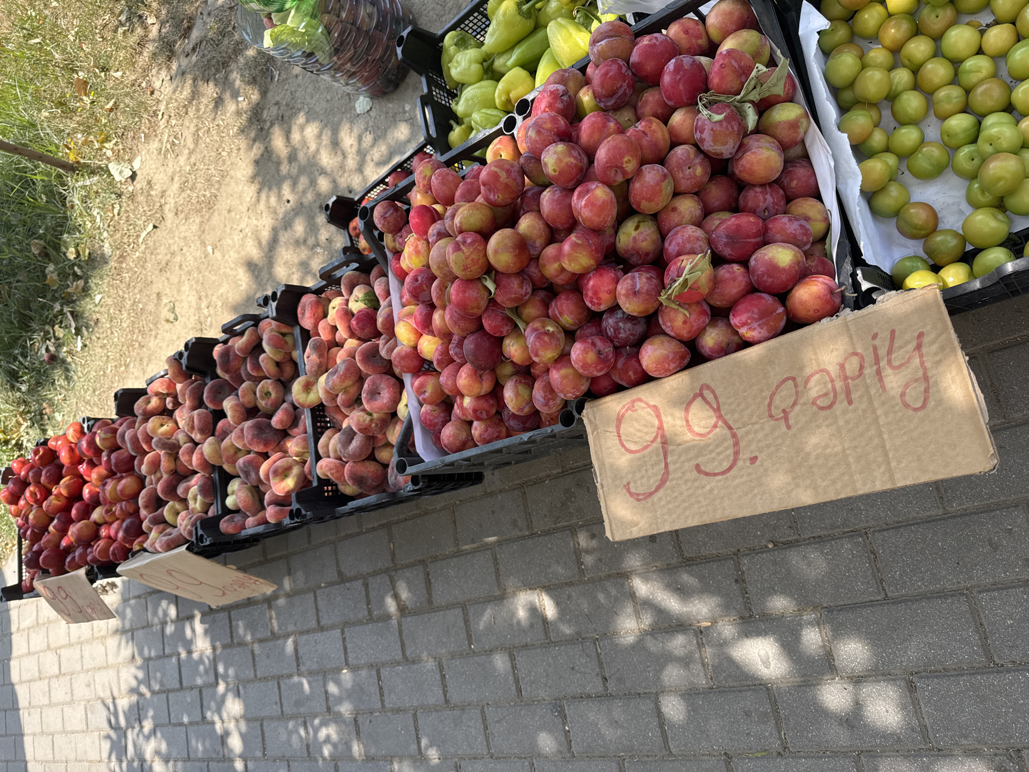 A street stall in Baku, Azerbaijan, displays an array of fresh produce, primarily fruits and peppers, arranged in black plastic crates. The stall is set up along a paved walkway, with the ground textured with interlocking gray brick pavers. Sunlight casts dappled shadows from unseen foliage onto the walkway.
In the foreground, a roughly cut piece of cardboard, appearing as a price tag, is placed diagonally and shows red lettering that is partially obscured but includes numerals and what seems to be Cyrillic characters.
The crates are filled with various fruits. The closest crates contain plums and possibly peaches, with colors ranging from deep red and purple to yellow and green. Some of the plums are adorned with small green leaves and stems. Further back, another crate is filled with green bell peppers.
To the right of the produce, a large, clear plastic bottle, filled with a green liquid and a green lid, stands upright. The background suggests a natural environment with dry soil and green grass, possibly indicating the edge of a park or a less urbanized area. The overall impression is a vibrant outdoor market scene under bright daylight conditions.